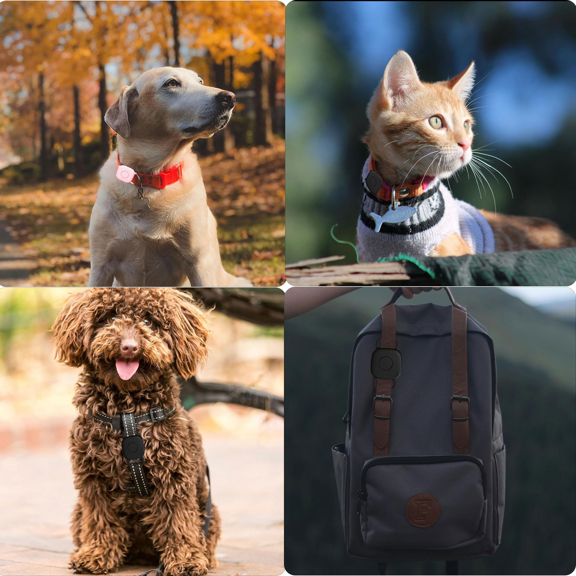 حامل طوق كلب مقاوم للماء لجهاز تتبع تايل ميت 2024/ ميت 2022، جراب سيليكون ناعم مضاد للضياع لقلادة القطط والحيوانات الاليفة، ملحقات غطاء واقي لجهاز تتبع البلاط (ازرق/ابيض)