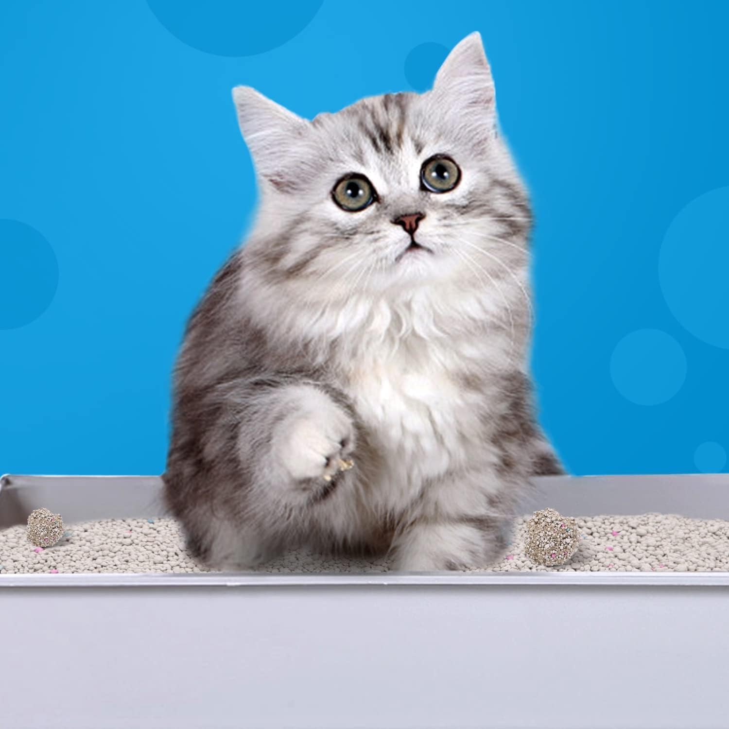 رمل فضلات قطط فائق التكتل ومنخفض التعقب وقابل للتحلل البيولوجي ويساعد على التحكم في الرائحة من مومو بير | 10 لتر، كيس 8 كجم - لافندر