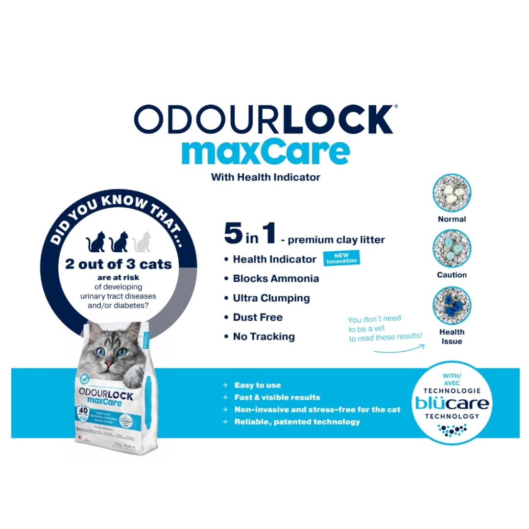 رمل ماكس كير لصندوق فضلات القطط من انترساند، 12 كيلوجرام، أسود