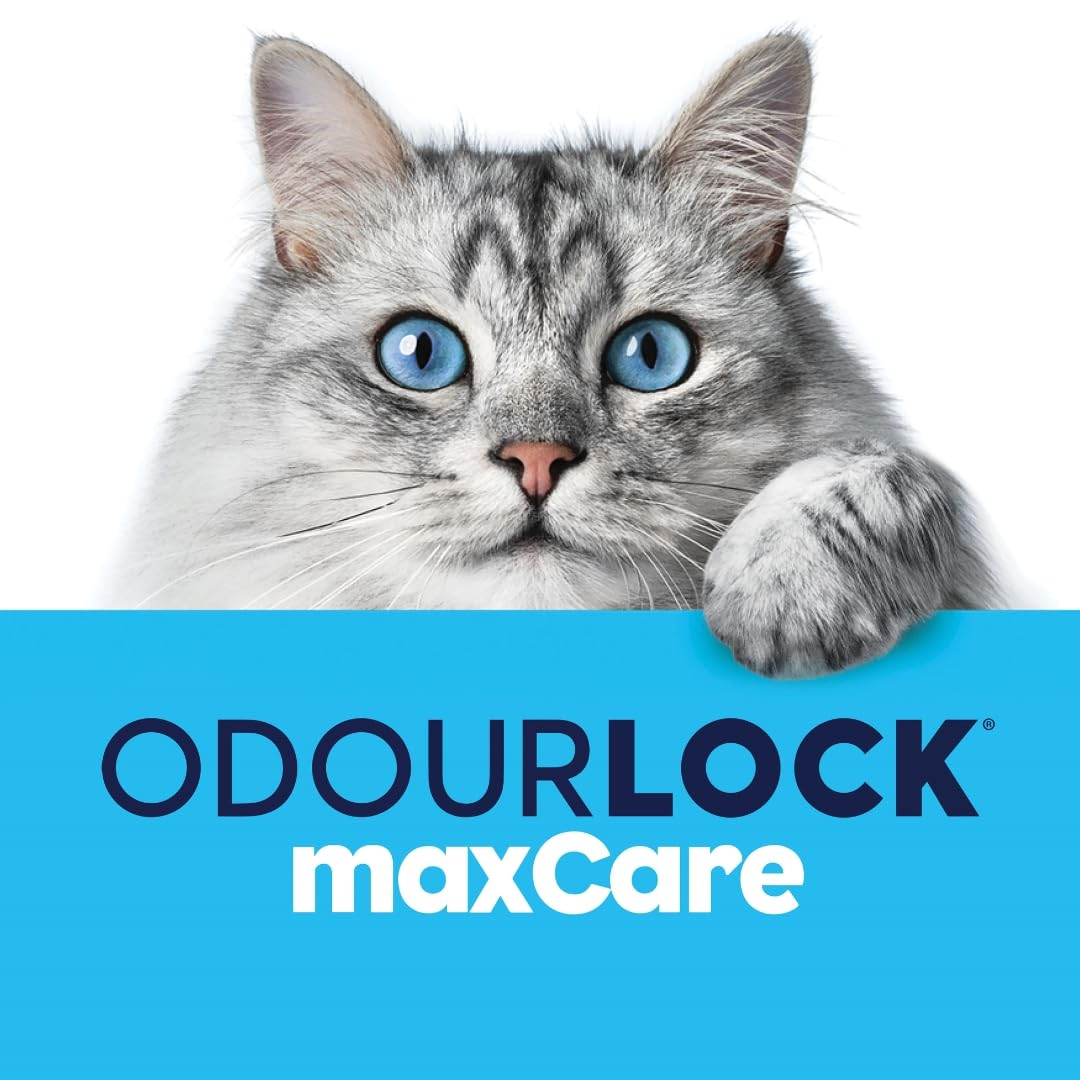 رمل ماكس كير لصندوق فضلات القطط من انترساند، 12 كيلوجرام، أسود