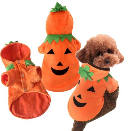 زي تنكري للكلاب للهالوين (مقاس A، L)