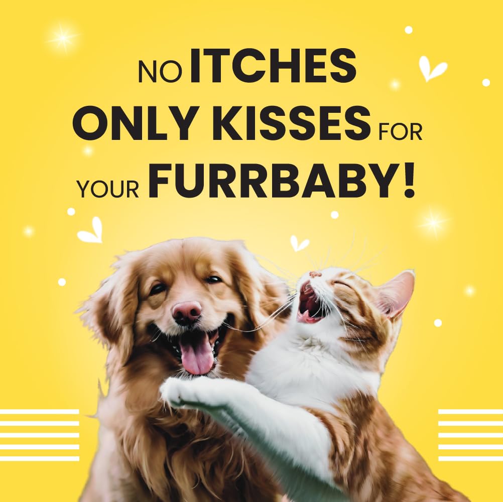 زيت سردين بارك اوت لاود من فيفالديس لبشرة صحية وفراء متوهج ومناعة معززة مع أوميجا 3 و6 والبيوتين والزنك (للكلاب والقطط)، 200 مل