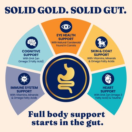 سوليد غولد نمر مجنح مع السمان واليقطين خالي من الحبوب للقطط 1.36 كجم، طائر السمان