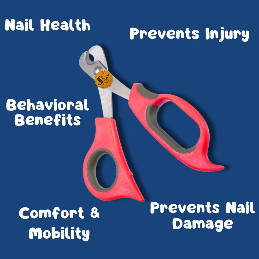 سيج سكوير مقص اظافر للكلاب باللون الاحمر - مقص فاخر من الستانلس ستيل للعناية الدقيقة للحيوانات الاليفة، تقليم اظافر امن وبدون مجهود للكلاب الكبيرة والقطط والجراء والقطط الصغيرة