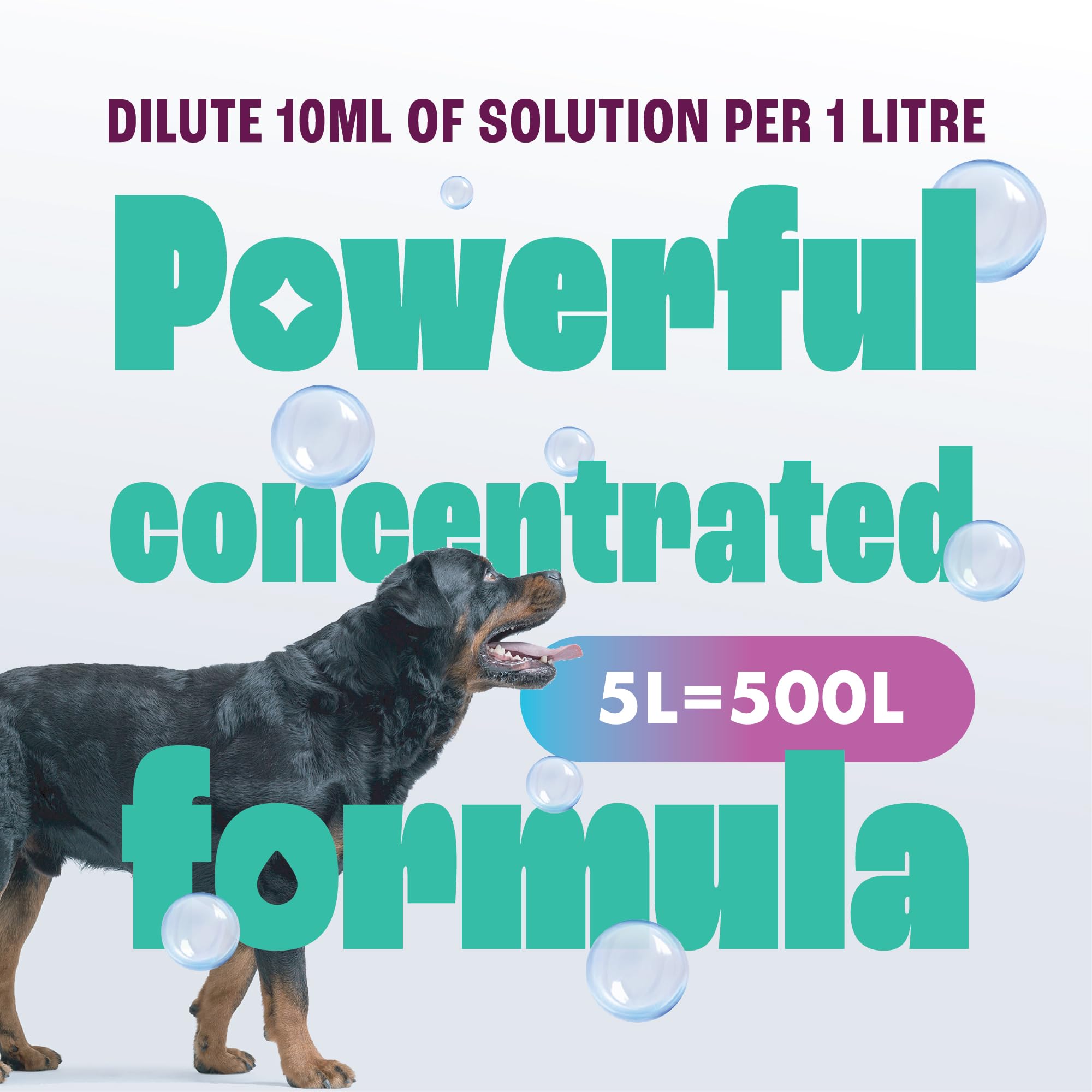 شامبو منظف السجاد بيت برو من ديرتباسترز، محلول تنظيف مزيل للبقع مع محايد للروائح الكريهة لازالة بول الكلاب والقطط، لماكينات تنظيف السجاد، برائحة الصيف المنعشة (1 لتر)