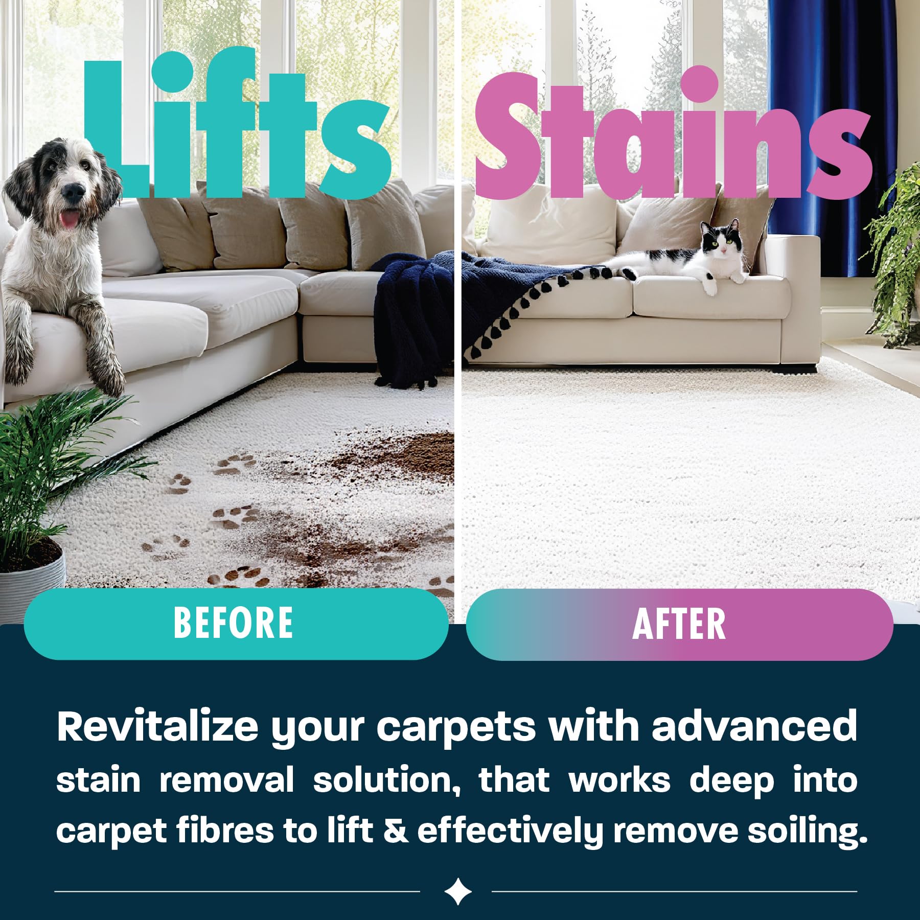 شامبو منظف السجاد بيت برو من ديرتباسترز، محلول تنظيف مزيل للبقع مع محايد للروائح الكريهة لازالة بول الكلاب والقطط، لماكينات تنظيف السجاد، برائحة الصيف المنعشة (1 لتر)