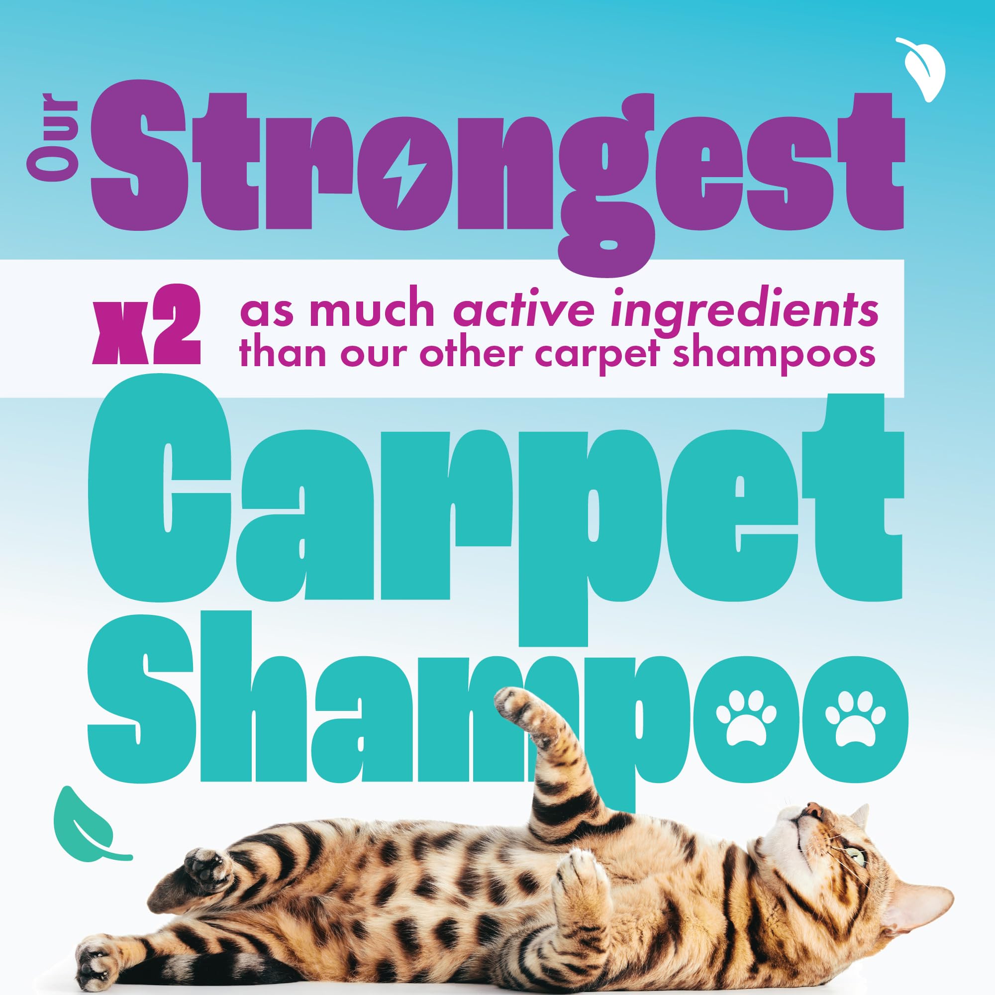 شامبو منظف السجاد بيت برو من ديرتباسترز، محلول تنظيف مزيل للبقع مع محايد للروائح الكريهة لازالة بول الكلاب والقطط، لماكينات تنظيف السجاد، برائحة الصيف المنعشة (1 لتر)