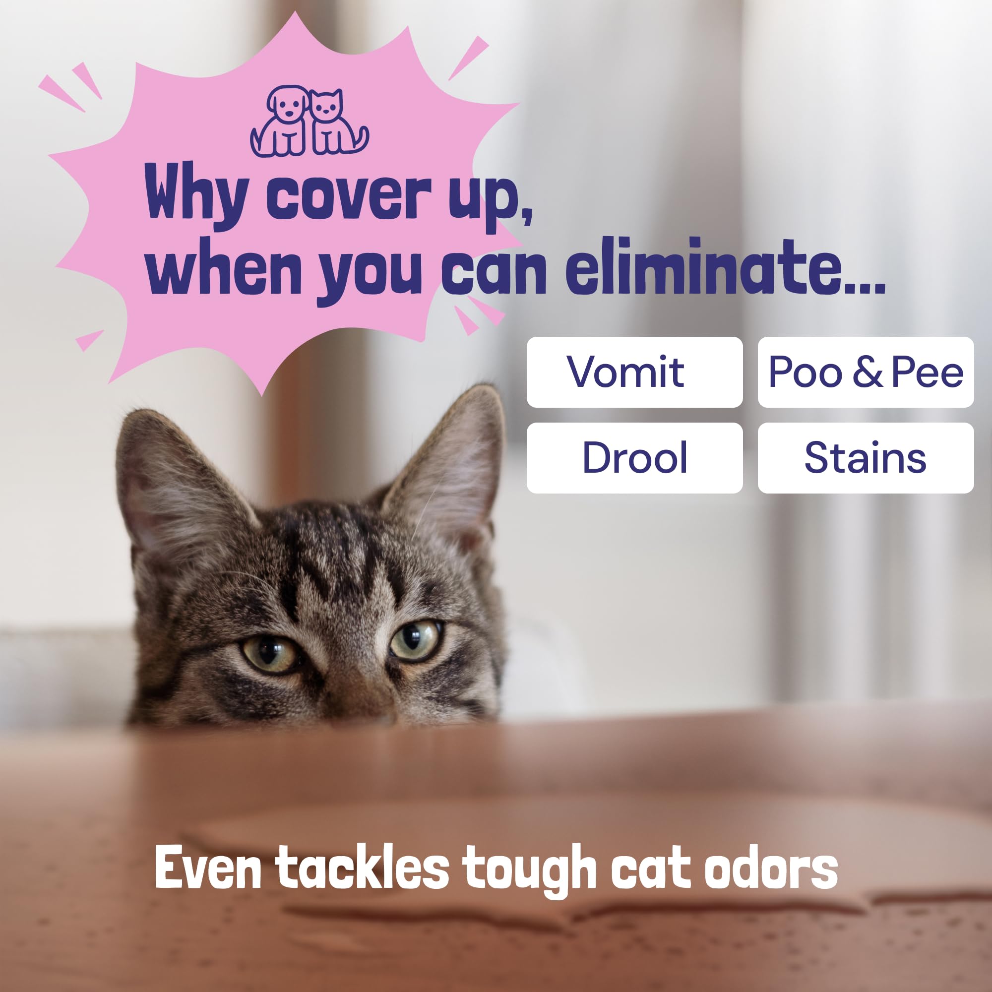 صني اند هوني مزيل البقع والروائح الكريهة للحيوانات الاليفة (1 جالون (عبوة من قطعة واحدة) برائحة اللافندر الخفيف)