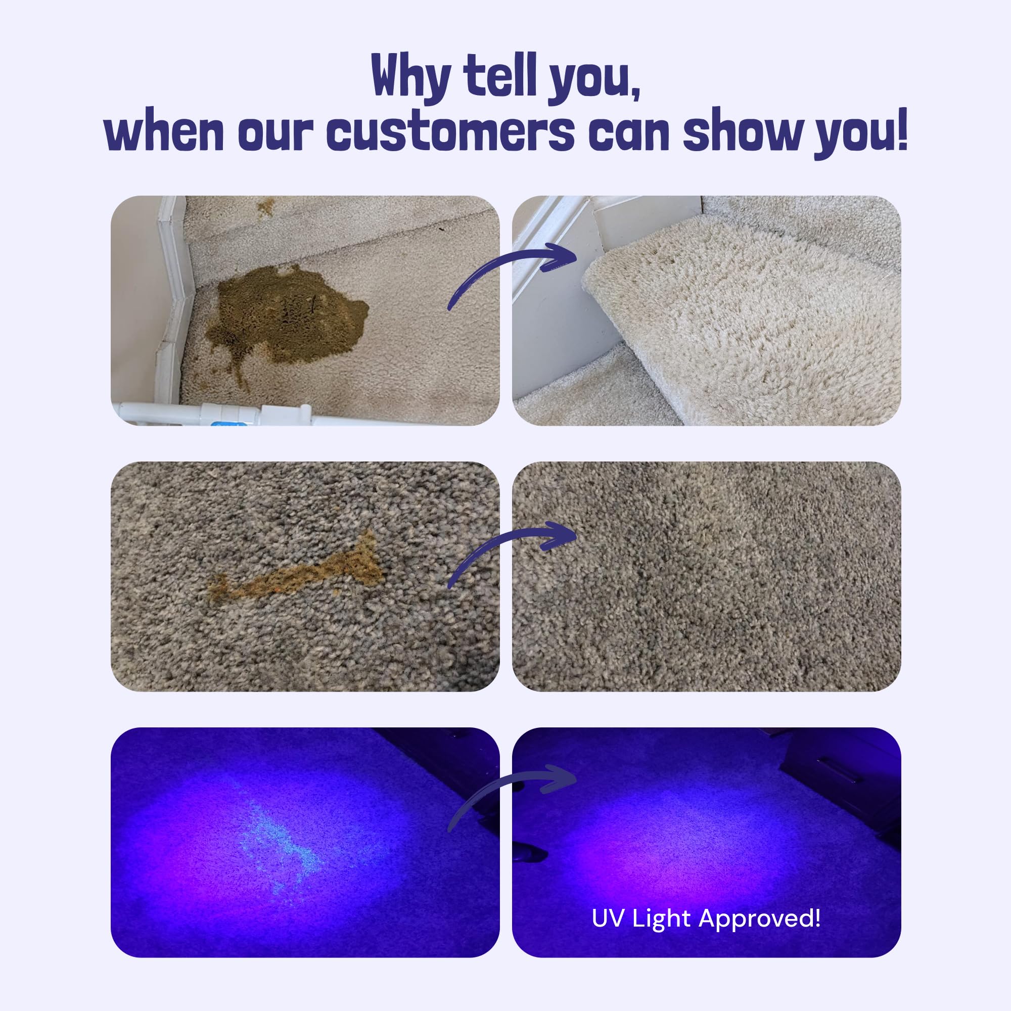 صني اند هوني مزيل البقع والروائح الكريهة للحيوانات الاليفة (1 جالون (عبوة من قطعة واحدة) برائحة اللافندر الخفيف)