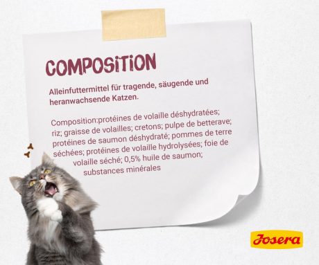 طعام للقطط الصغيرة من جوسيرا بوزن 2 كجم، سمك السالمون، طفل