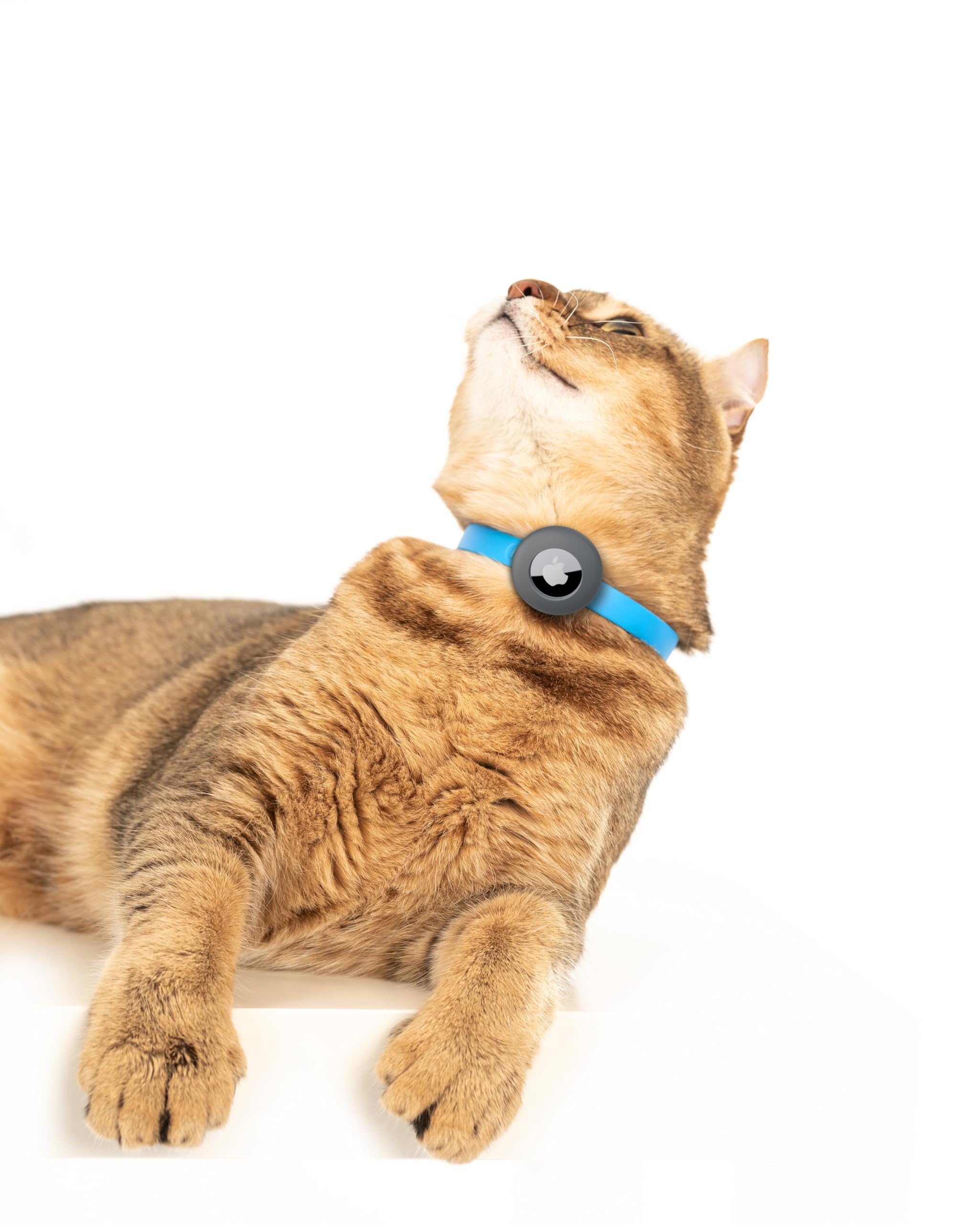 طوق قابل للفصل للقطط من ايرتاغ - طوق بمشبك امان ناعم ومريح وخفيف الوزن مع حامل جهاز تتبع GPS للقطط الخارجية والقطط الحساسة من نوفوك (6 انش الى 10 ¼ انش، بينك)