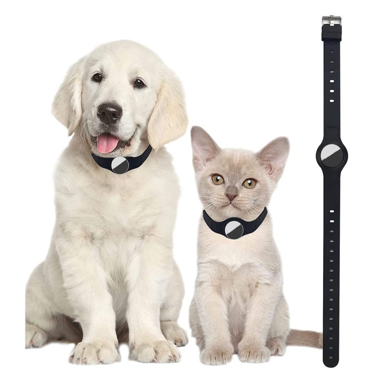 طوق للكلاب من اكس سبرينج، طوق مضاد للفقدان للحيوانات الاليفة مع حافظة تتبع آمنة، طوق سيليكون قابل للتعديل للكلاب والقطط لمنع فقدان الحيوانات الاليفة، يناسب الحيوانات الاليفة الصغيرة والمتوسطة