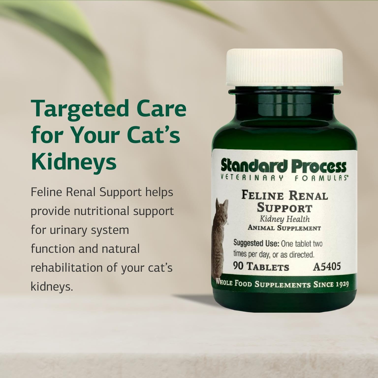 عملية قياسية - دعم كلوي القطط - صحة الكلى والبول للقطط - 90 قرص، من انك ستاندرد للاجراءات