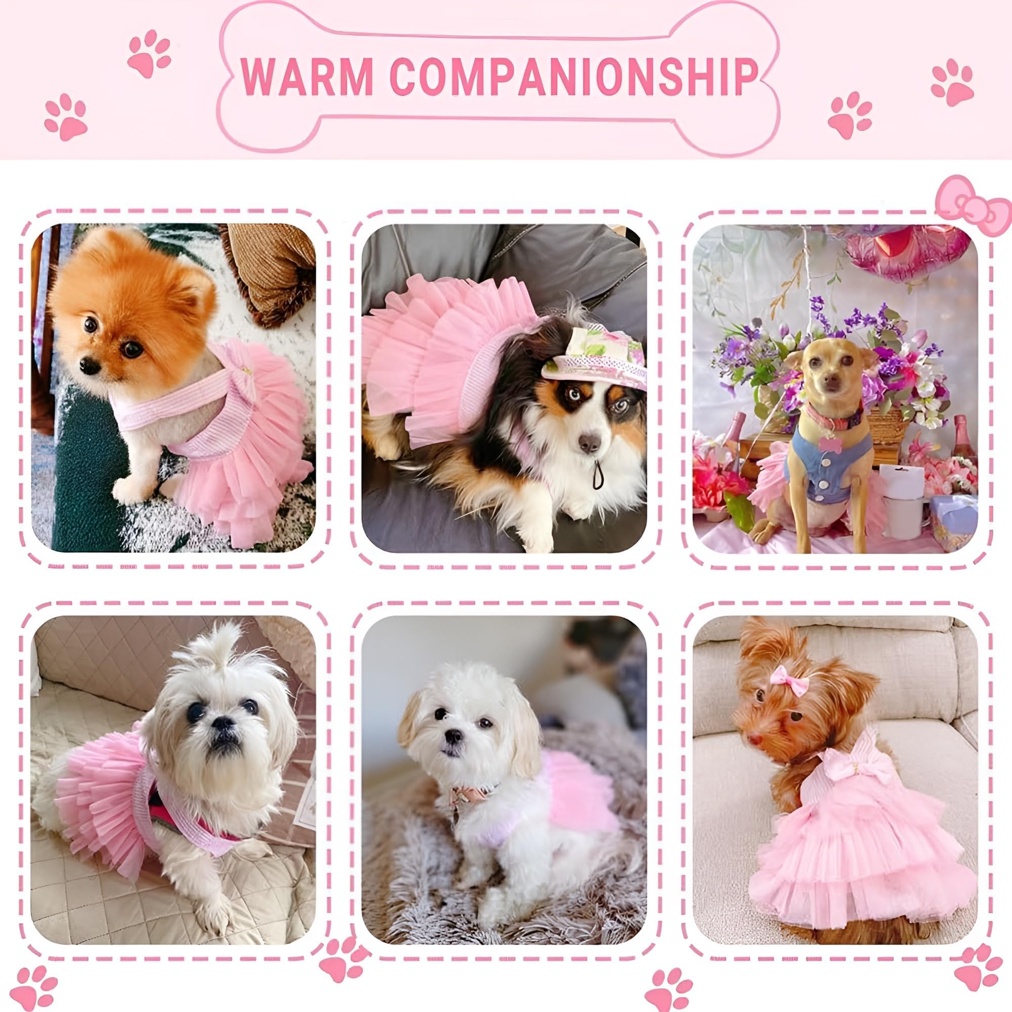 فستان للحيوانات الاليفة من جويز، فستان شبكي مخطط رائع للكلاب الصغيرة والقطط، فستان كلب صغير قابل للتعديل للفتيات، ملابس كلاب بوميرانيان والشيواوا، مثالي للحفلات والمناسبات الخاصة (مقاس M)