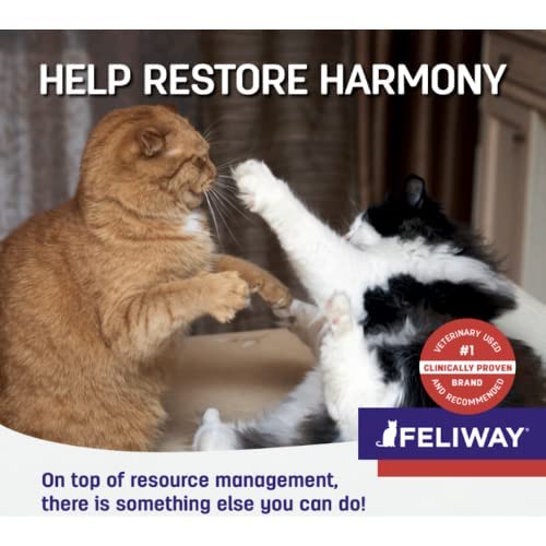 فيليواي عبوة اعادة تعبئة لمدة 30 يومًا من فريندز تساعد على تقليل الصراع في المنازل متعددة القطط وتساعد التعايش بشكل أفضل - 48 مل