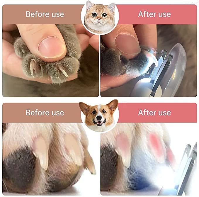 قصافة اظافر الحيوانات الاليفة للقطط والكلاب والحيوانات الاليفة من موسيكل مع ضوء LED لتجنب القطع الزائد، قصافة اظافر احترافية للعناية بالمخالب مزودة باضاءة LED (ازرق)
