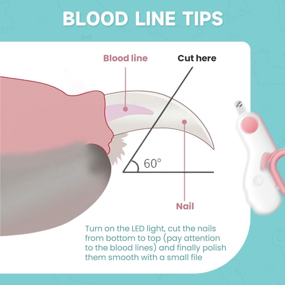 قصافة اظافر الحيوانات الاليفة والكلاب والقطط مع ضوء LED، قصافة اظافر صغيرة محمولة للكلاب، اداة مبتكرة للعناية بمخالب الكلاب والارانب والقطط في الاماكن المغلقة