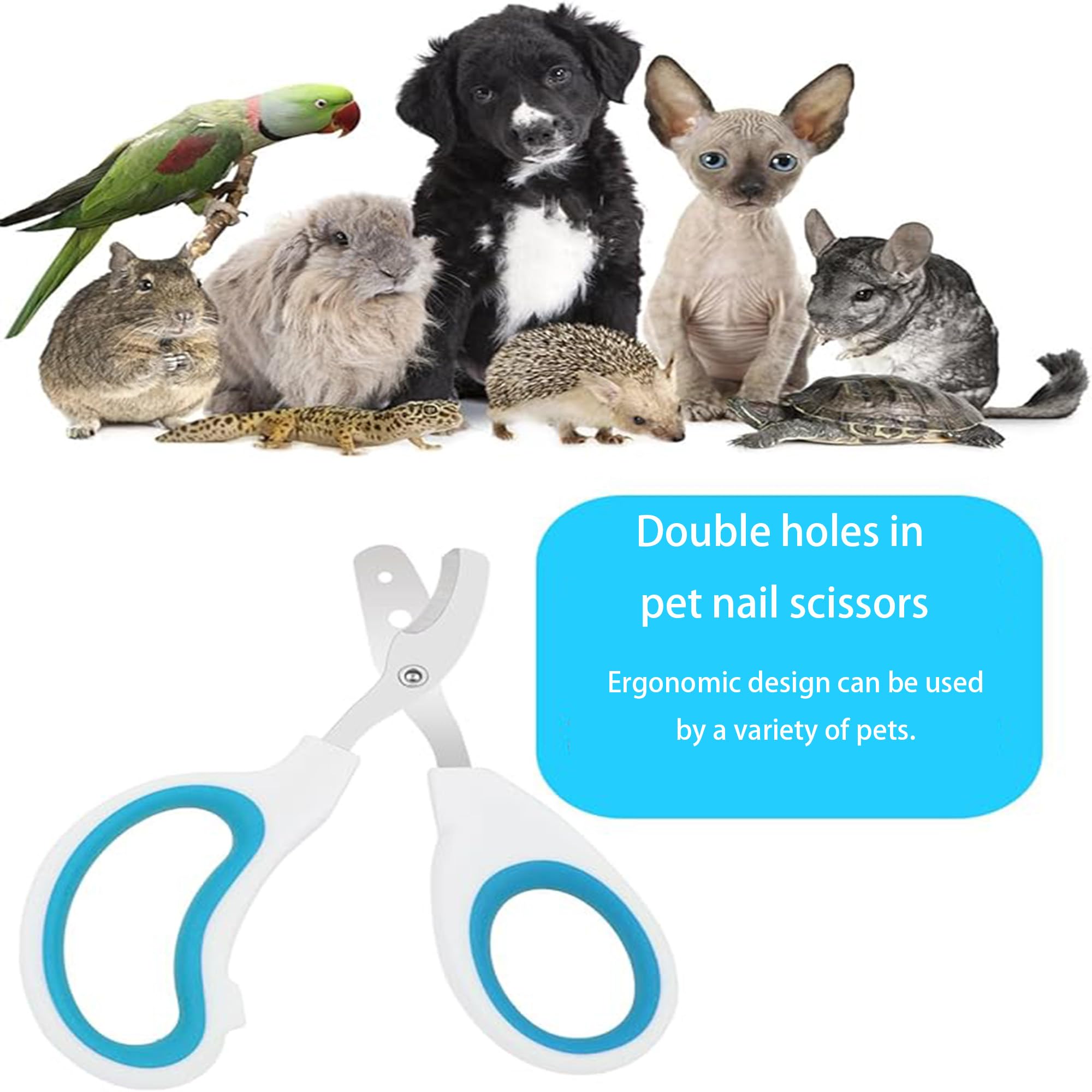 قصافة اظافر الحيوانات الاليفة، نسخة محدثة من مخلب القطط والقطط، قصافة اظافر احترافية للحيوانات الاليفة الافضل للقطط والجراء والارانب والقطط الصغيرة والكلاب الصغيرة، حادة وامنة (ازرق)