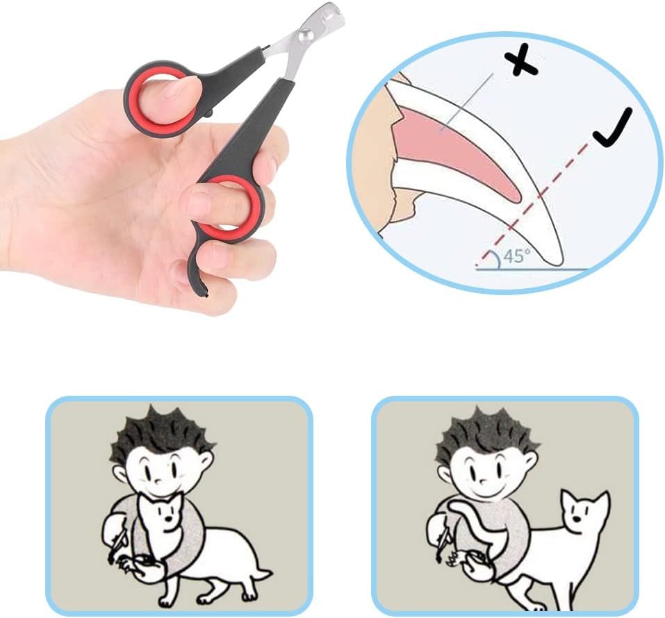 قصافة اظافر القطط من بانشان - مقص احترافي لاظافر الحيوانات الاليفة للكلاب الصغيرة والقطط الصغيرة والارانب والطيور والخنزير الغيني والحيوانات الصغيرة