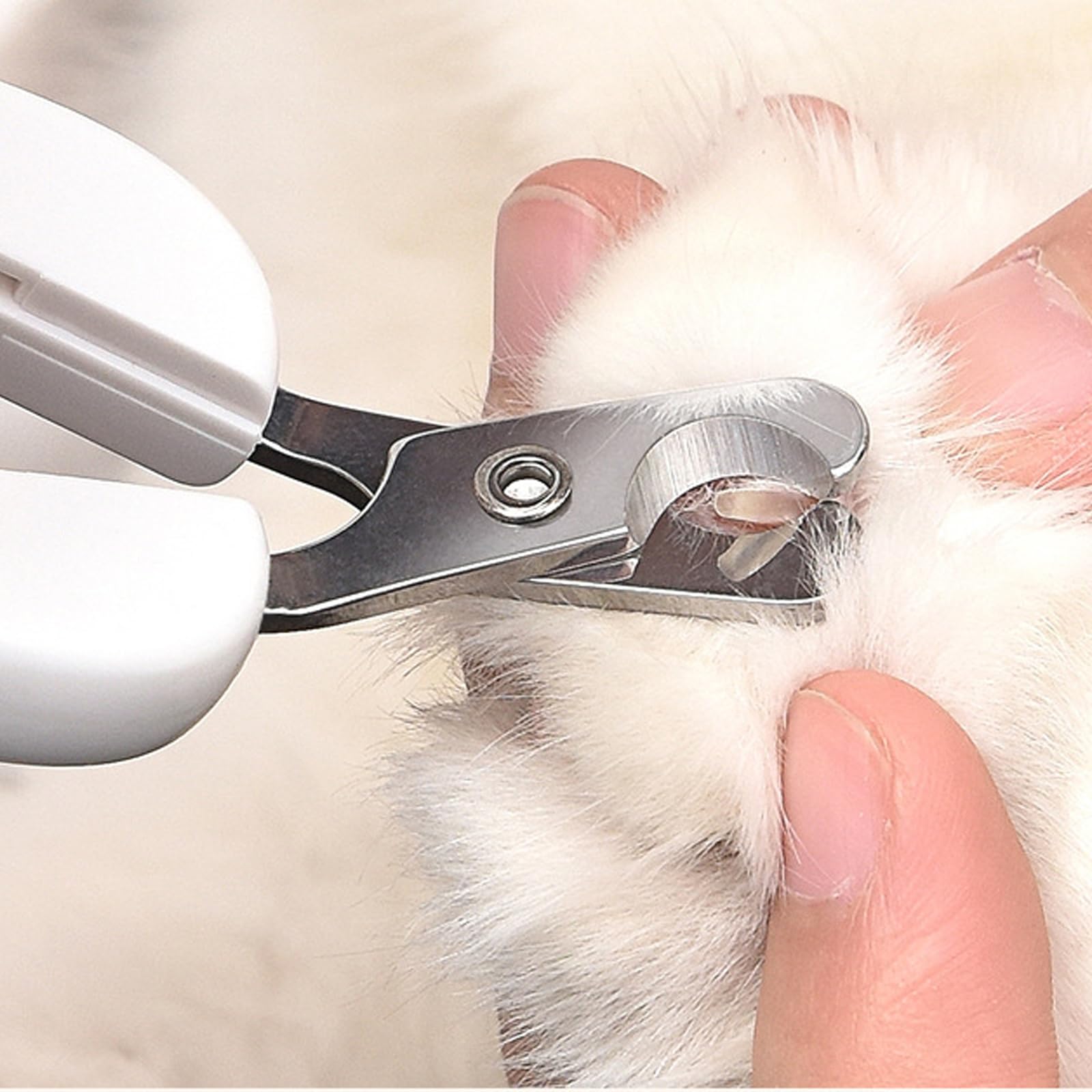 قصافة اظافر للقطط من الستانلس ستيل من بيكسارو - قطاعة مخلب القطط سهلة الامن، مقص اظافر للكلاب والقطط ومقص اظافر للقطط والكلاب والارانب والحيوانات الصغيرة