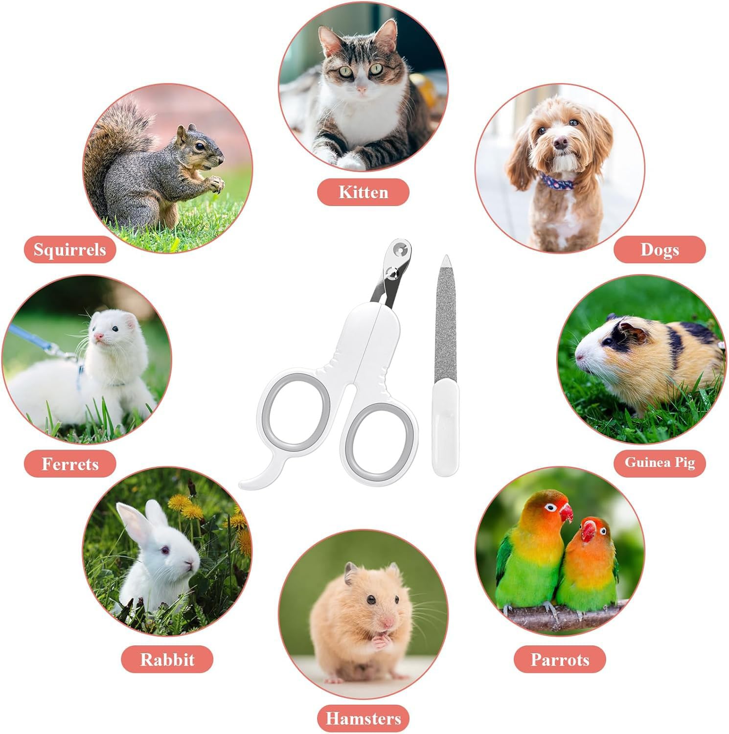 قصافة اظافر للقطط من الستانلس ستيل من بيكسارو - قطاعة مخلب القطط سهلة الامن، مقص اظافر للكلاب والقطط ومقص اظافر للقطط والكلاب والارانب والحيوانات الصغيرة