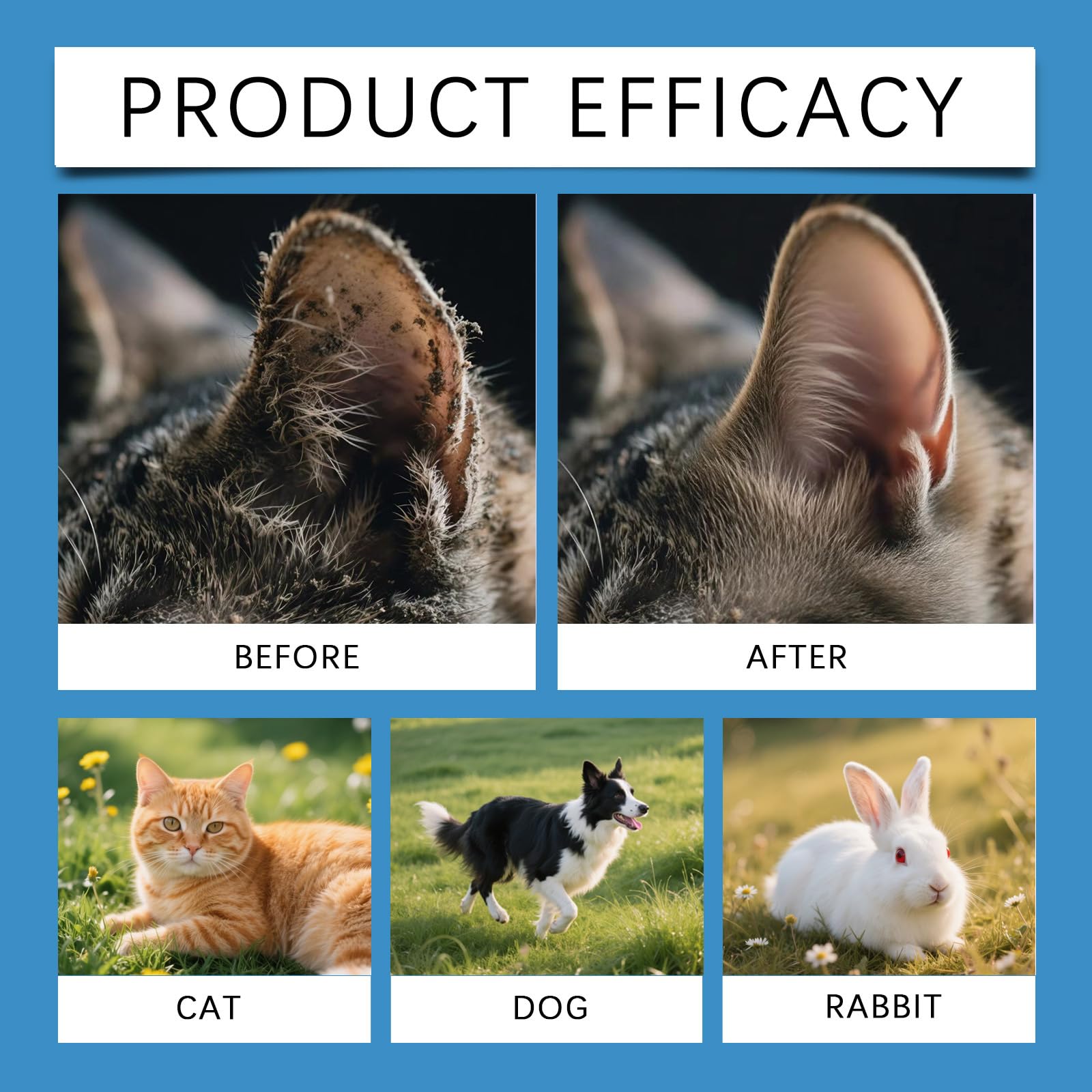 قطرات علاج عدوى اذن القطط والكلاب من ماكبيتي، منظف اذن القطط والكلاب لتخفيف حكة الاذن والتهابات اذن الكلاب وتخفيف حكة الاذن