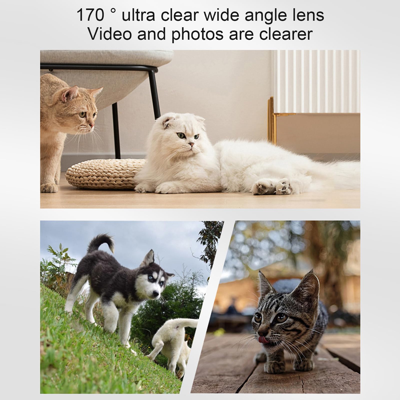 كاميرا طوق القطط، طوق كاميرا HD 1080P للحيوانات الاليفة مع تسجيل فيديو، طوق تتبع الكلاب بزاوية واسعة 170 درجة، كاميرا صغيرة للقطط والكلاب والاماكن الخارجية من اينور