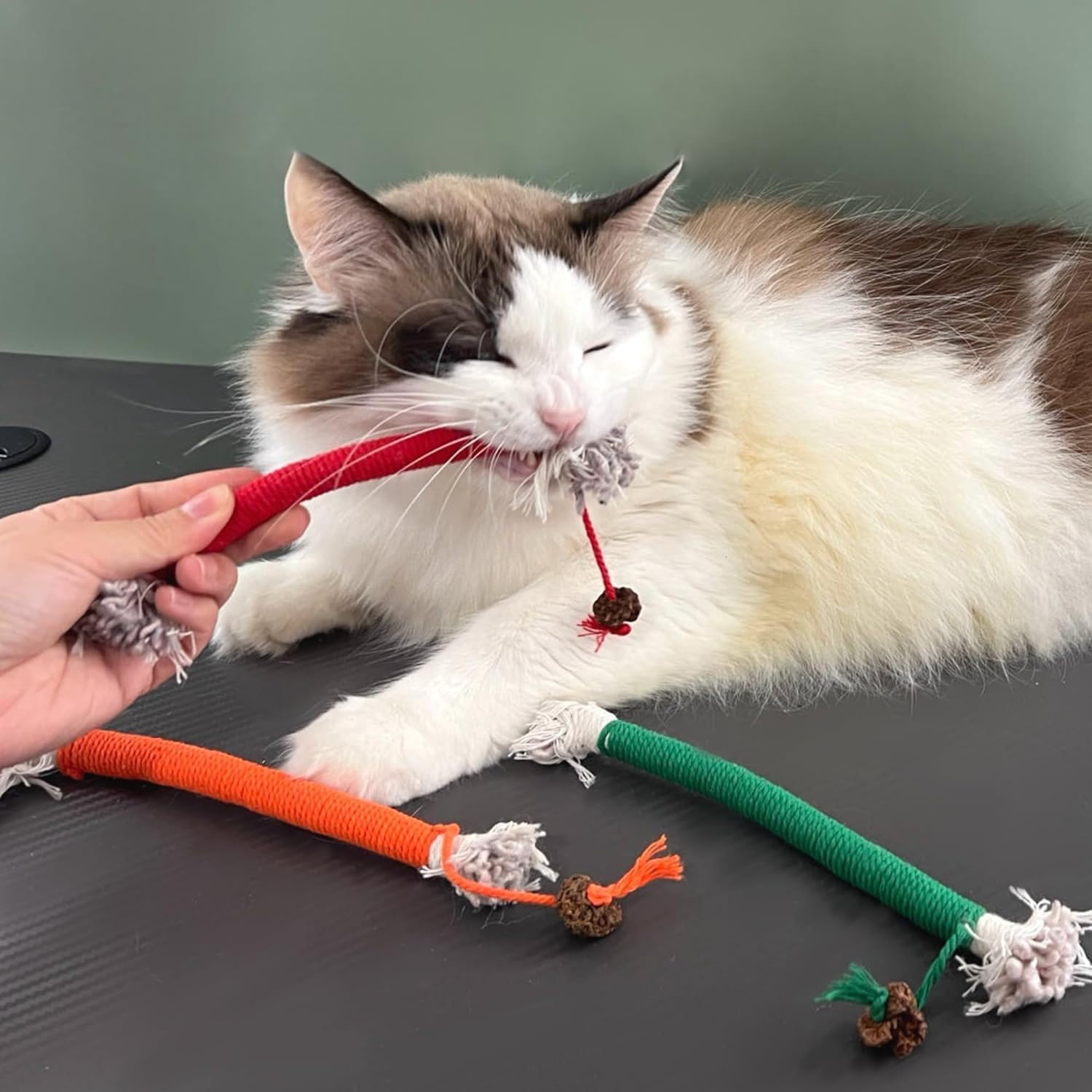 لعبة حبل عض النعناع البري من لونيميا، 4 قطع، لعبة مضغ للقطط، رفيق لعب تفاعلي ومستقل، لعبة تسنين القطط لتنظيف اسنان القطط، للاستخدام الداخلي، قطن، النعناع البري الطبيعي