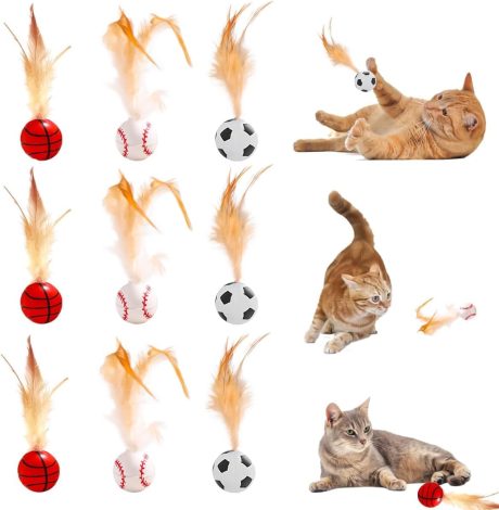 مجموعة العاب كرات ريشة للقطط من جوميراي، 9 قطع - العاب قطط نطاطة مرنة مع ذيول ريشة، كرات دوارة مطاطية للقطط في الاماكن المغلقة وتمارين القطط الصغيرة