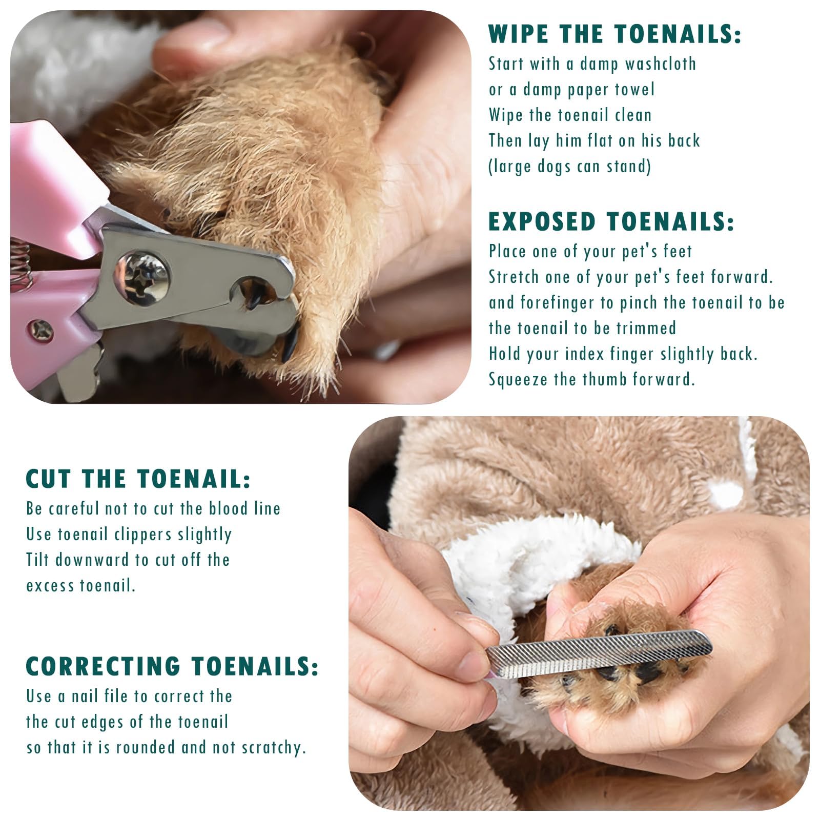 مجموعة العناية بالكلاب والقطط والكلاب، قابلة لاعادة الشحن منخفضة الضوضاء، تتضمن قصافة للحيوانات الاليفة وطحن اظافر الكلاب، ماكينة حلاقة شعر الكلاب والقطط، ماكينة حلاقة كهربائية لمخالب الحيوانات