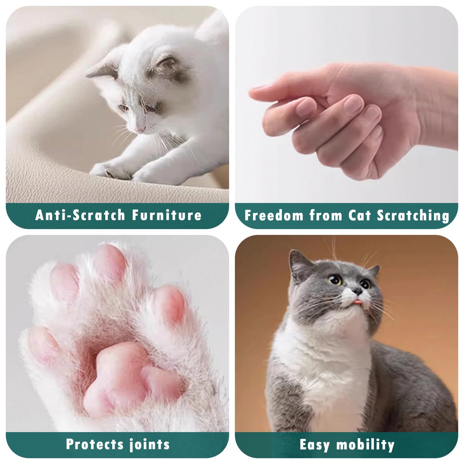 مجموعة العناية بالكلاب والقطط والكلاب، قابلة لاعادة الشحن منخفضة الضوضاء، تتضمن قصافة للحيوانات الاليفة وطحن اظافر الكلاب، ماكينة حلاقة شعر الكلاب والقطط، ماكينة حلاقة كهربائية لمخالب الحيوانات