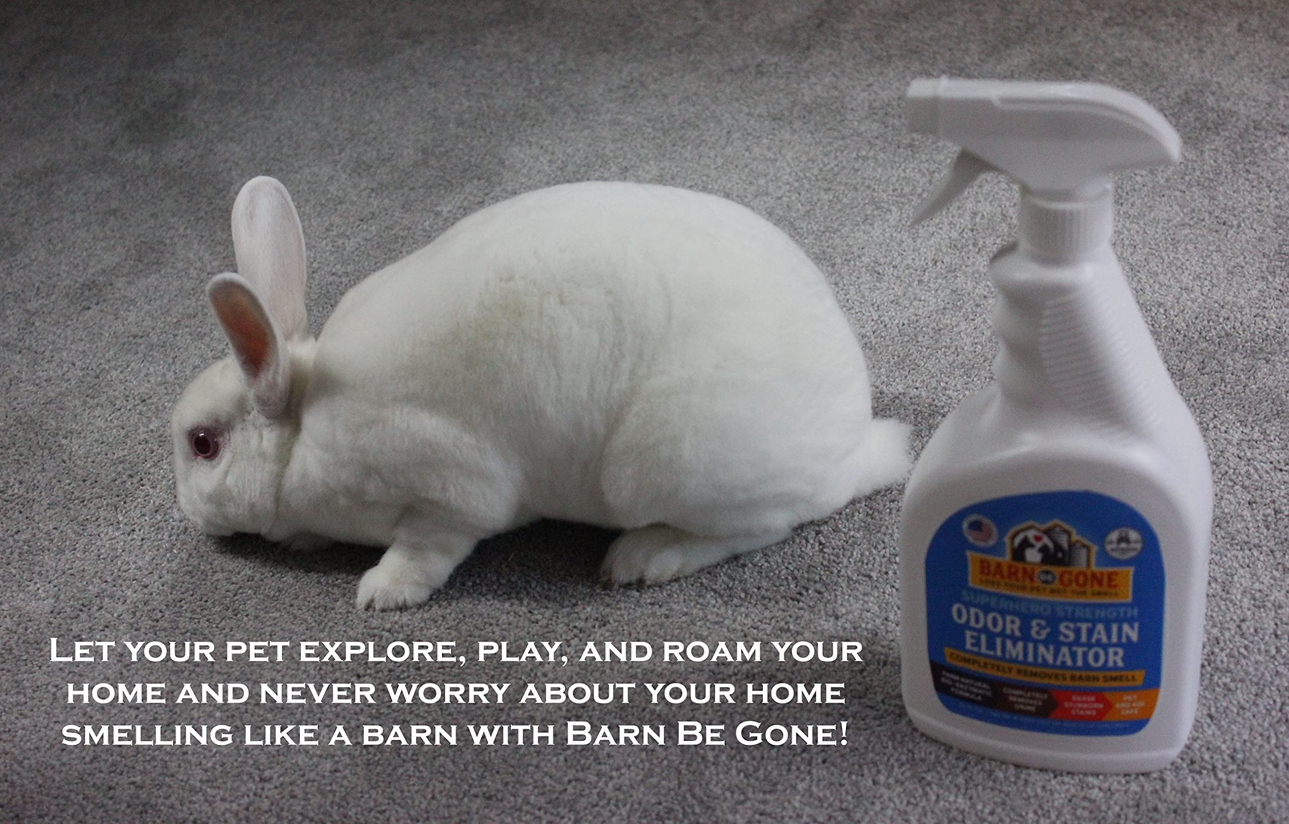 مزيل البقع والروائح الكريهة للحيوانات الاليفة من بارن بي جون | بخاخ منظف السجاد الانزيمي | بقع الحيوانات لمدمر بول الكلاب والقطط | مستلزمات الصغيرة