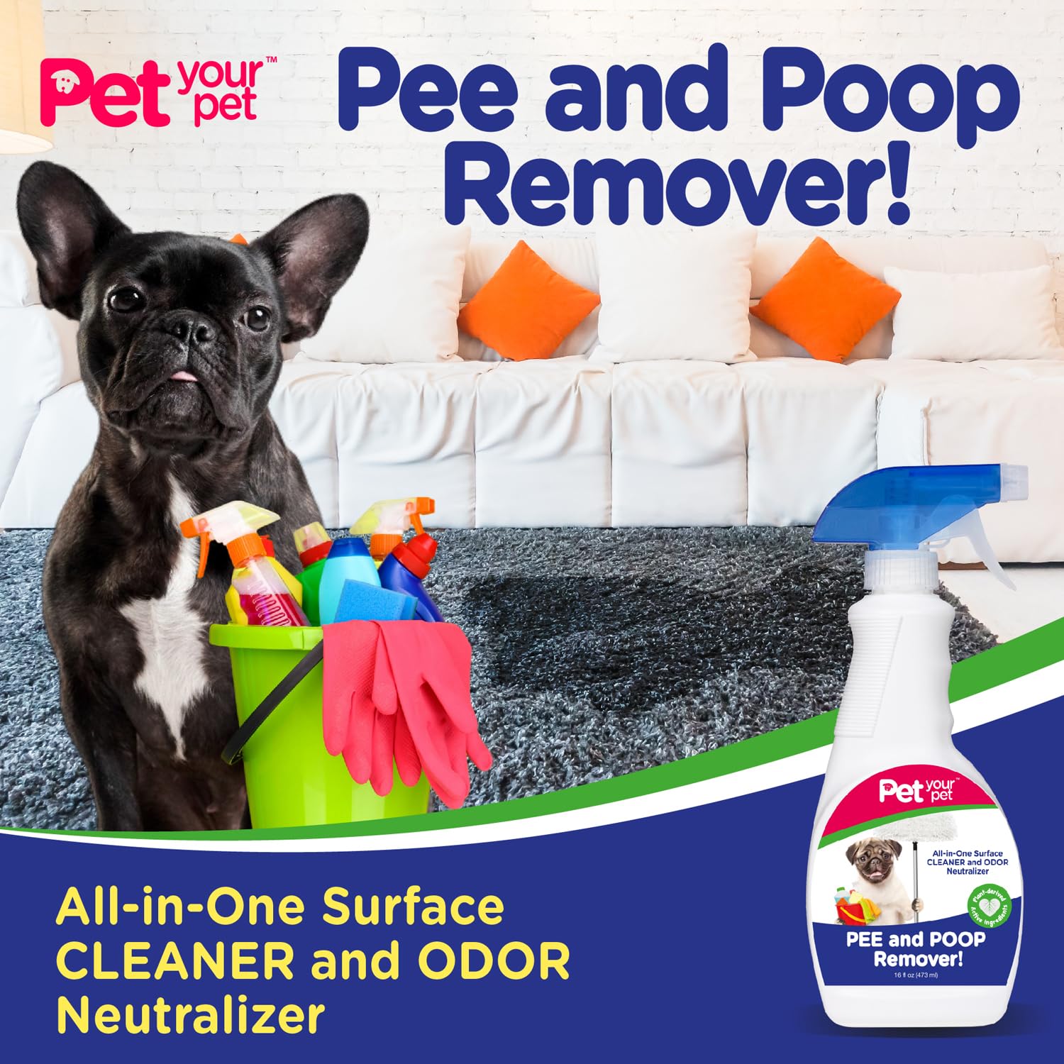 مزيل التبول والبراز للكلاب من بيت يور بيت، 32 اونصة سائلة، مزيل البقع والروائح الكريهة للحيوانات الاليفة الكل في واحد مع مكونات مشتقة من النباتات - مزيلات البقع والروائح للتنجيد والسجاد والجلد