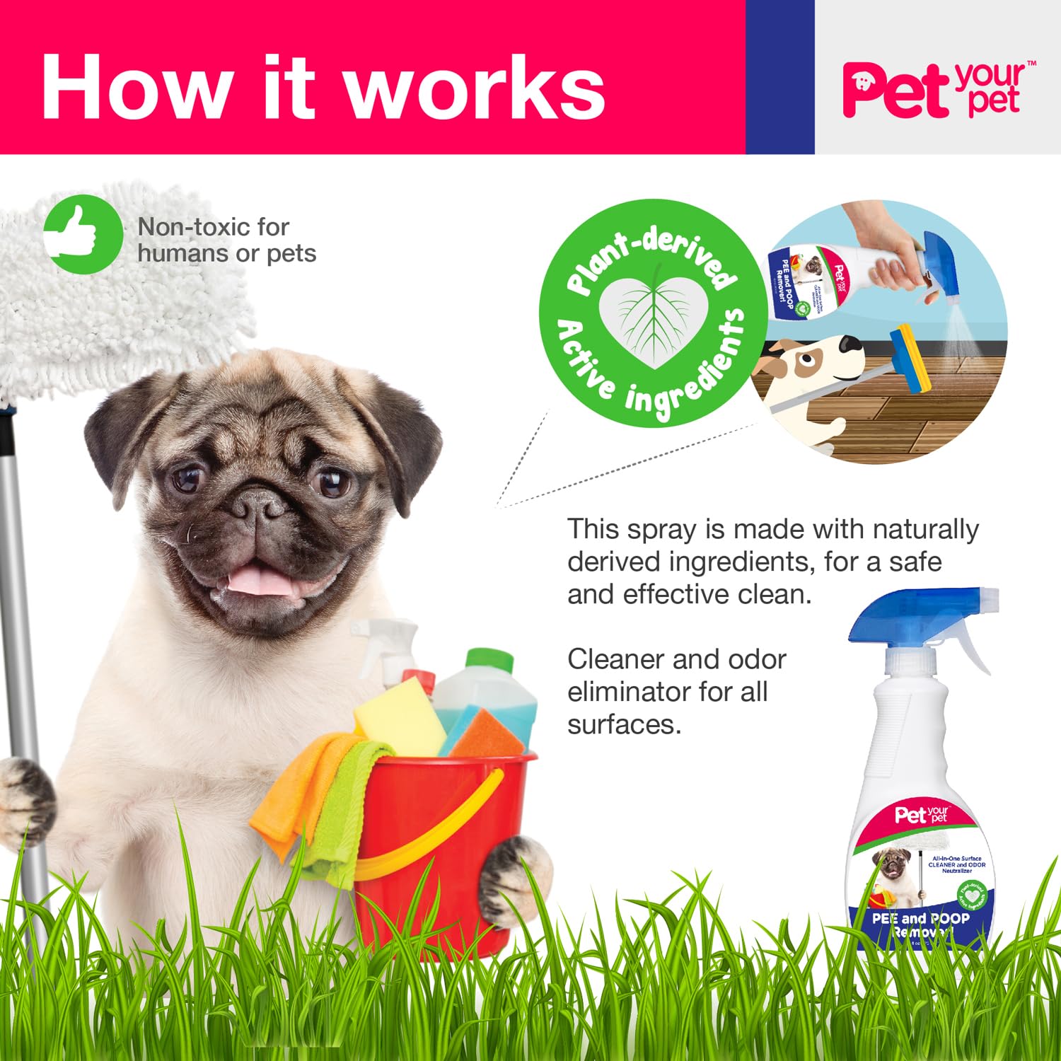 مزيل التبول والبراز للكلاب من بيت يور بيت، 32 اونصة سائلة، مزيل البقع والروائح الكريهة للحيوانات الاليفة الكل في واحد مع مكونات مشتقة من النباتات - مزيلات البقع والروائح للتنجيد والسجاد والجلد