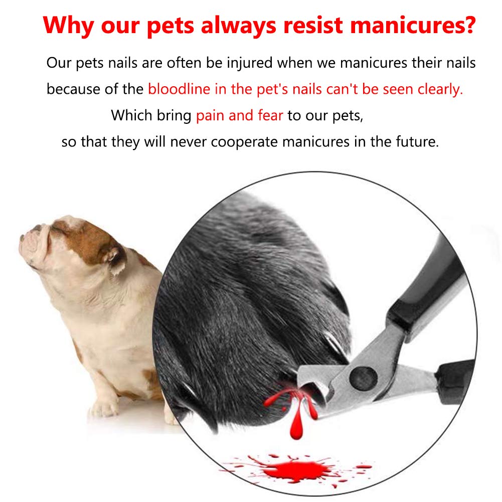 مقص أظافر الحيوانات الأليفة المضيئة من Helishy ، مقص أظافر للحيوانات الأليفة قابل للتكبير 5X آمن مع ضوء LED ، أداة العناية بالأظافر للحيوانات الأليفة رائعة للكلاب والقطط