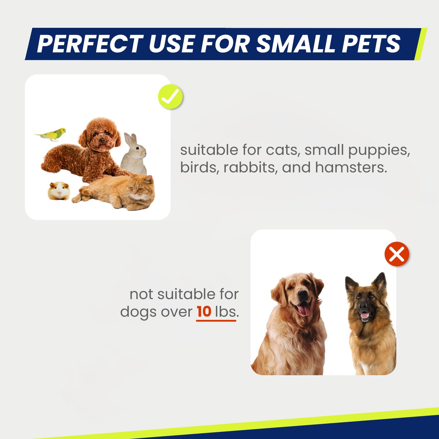 مقص أظافر للحيوانات الأليفة من وي بت، مقص احترافي للقطط والكلاب والجراء والهامستر والأرانب والحيوانات الصغيرة، حاد وآمن