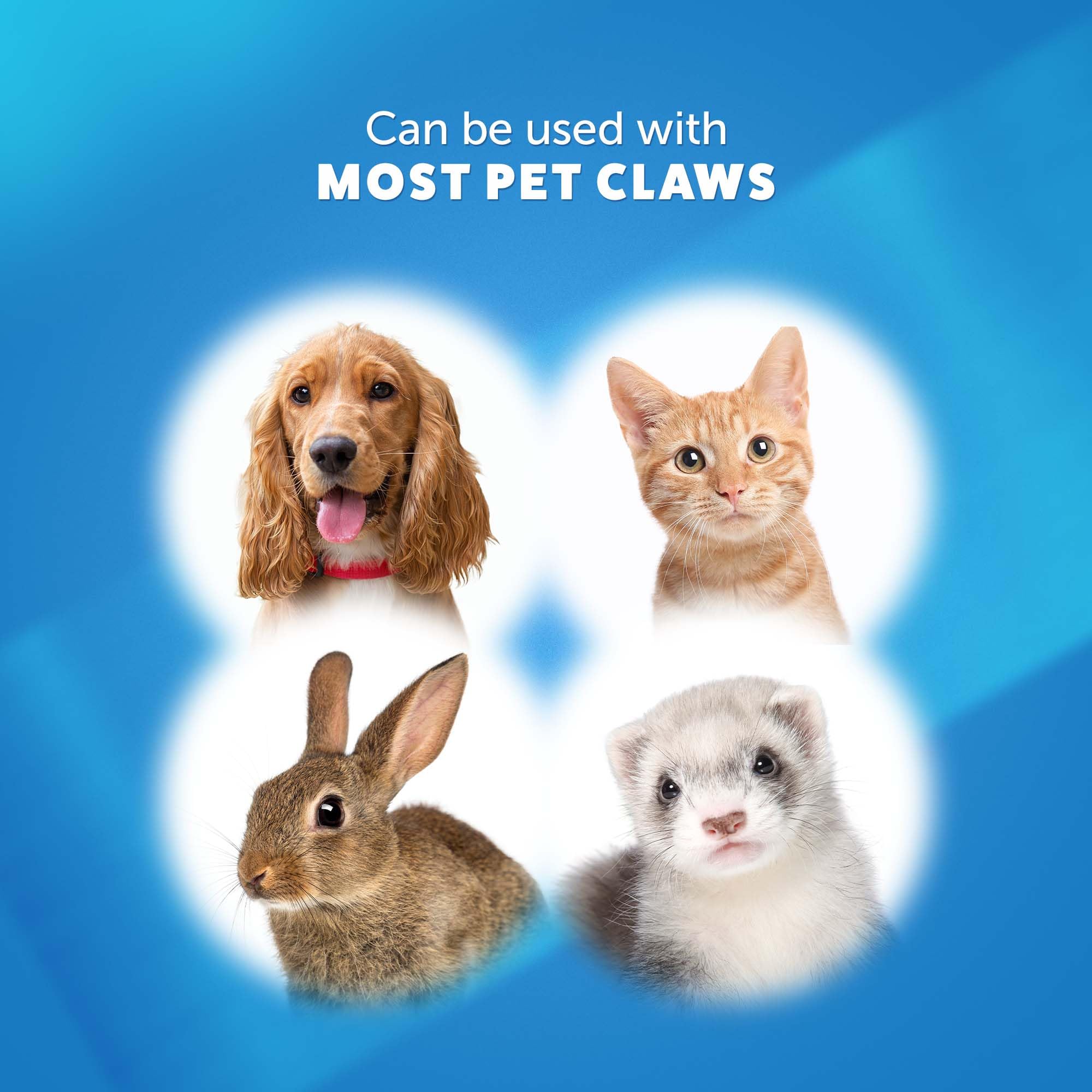 مقص مخالب للكلاب بتصميم مقصلة من الستانلس ستيل من وال، من واهل