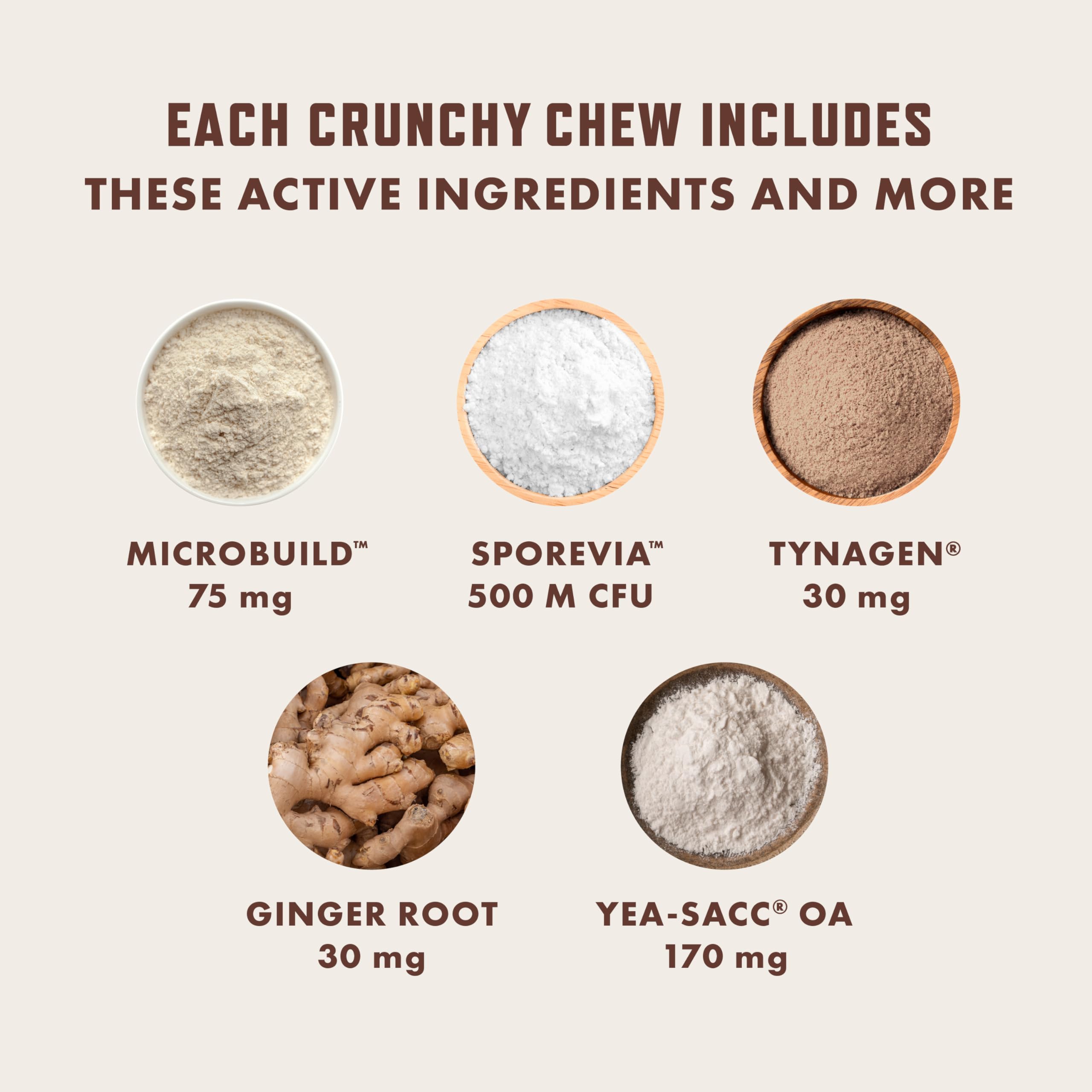 مكمل غذائي صحي للمسالك البولية للقطط من روكو اند روكسي، التوت البري ودي مانوز لدعم الكلى والمثانة والاضطرابات النفسية، يوصى به الطبيب البيطري، بنكهة الدجاج المقرمشة، صنع في الولايات المتحدة الامريكية