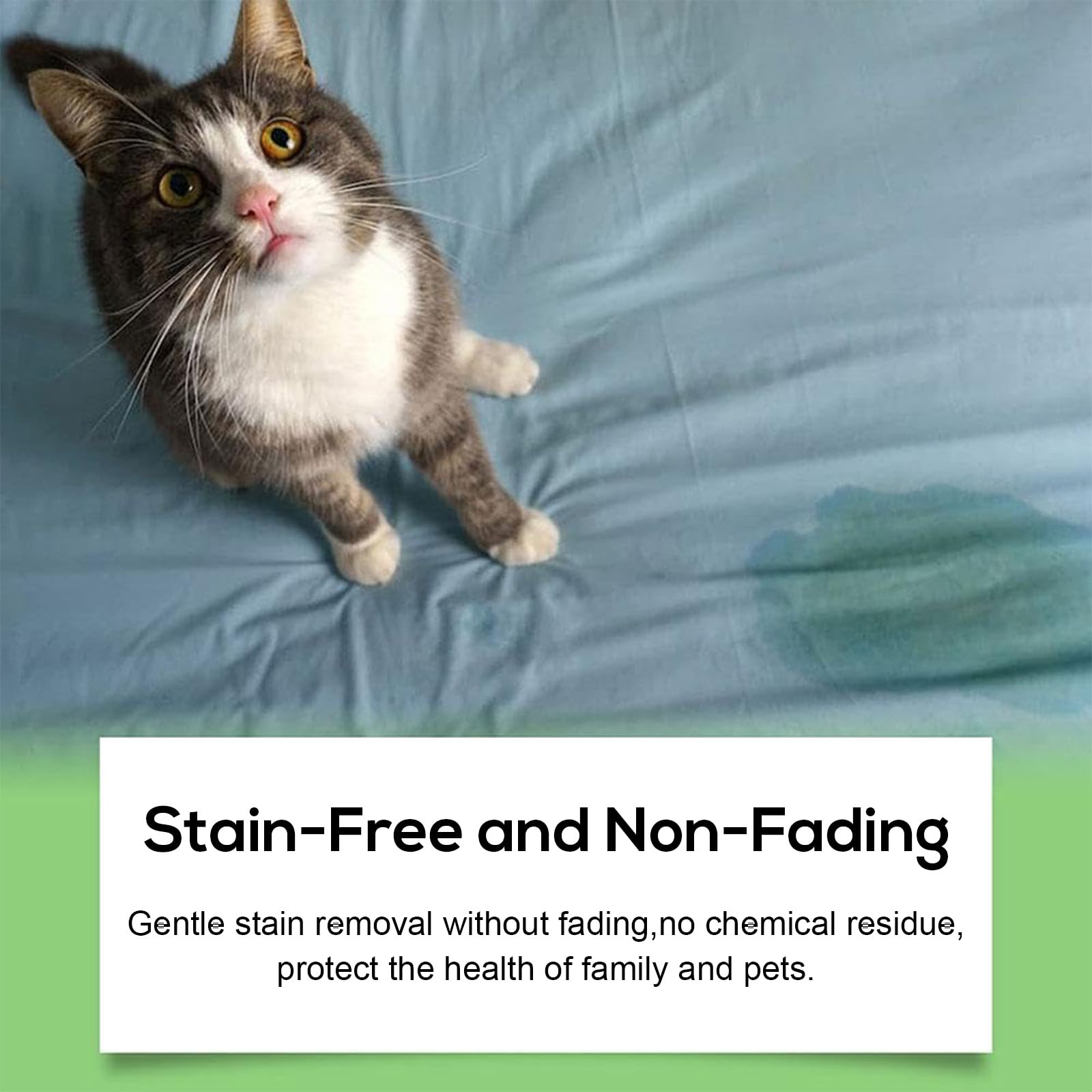 ويندالي بخاخ مزيل لرائحة الحيوانات الاليفة - تركيبة انزيمية ممتازة لازالة البقع والروائح الدائمة لبول الكلاب والقطط من السجاد والاثاث والارضيات، لطيف وآمن للحيوانات الاليفة