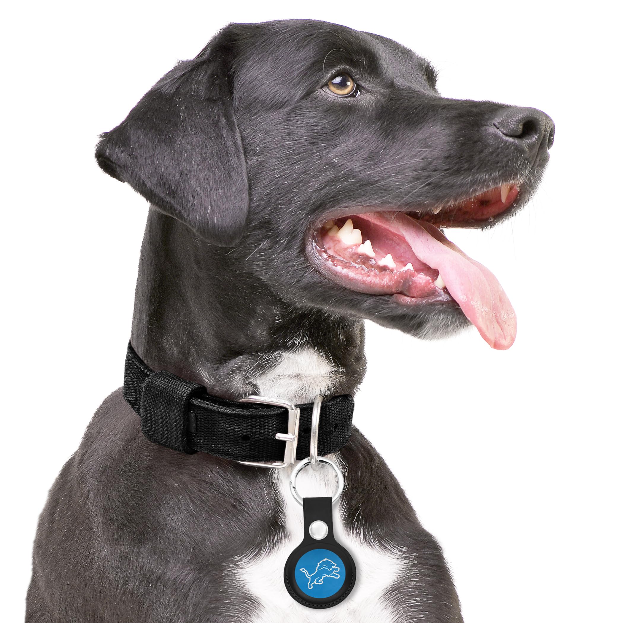 NFL Detroit Lions Keychain Apple AIR TAG Holder for Dogs & Cats, Case for Apple Airtag Tracker, GPS Dog Tracking Device Pendant Holder