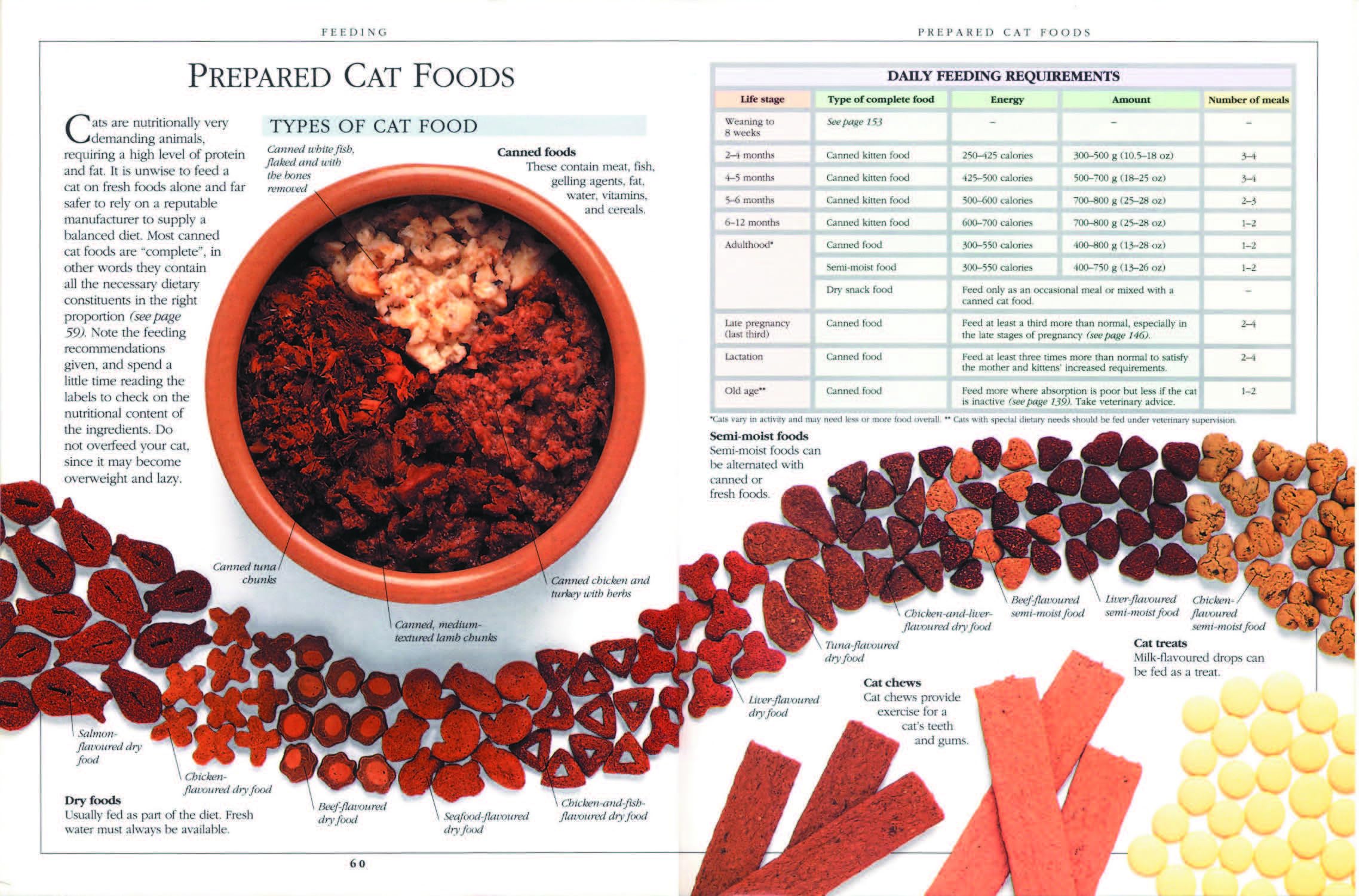 Complete Cat Care Manual: The Essential, Practical Guide to All Aspects of C