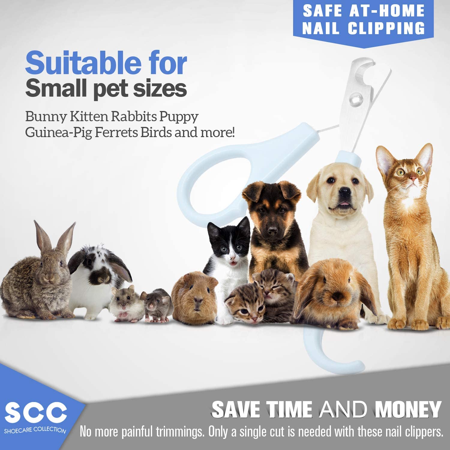 أداة قص أظافر القطط الاحترافية وتشذيب المخالب لأداة العناية المنزلية - آمنة وسهلة الاستخدام. أفضل مقص مخلب للحيوانات الأليفة للأرنب ، الجرو ، خنزير غينيا ، النمس ، الطيور ، الحيوانات الصغيرة - تصميم ل