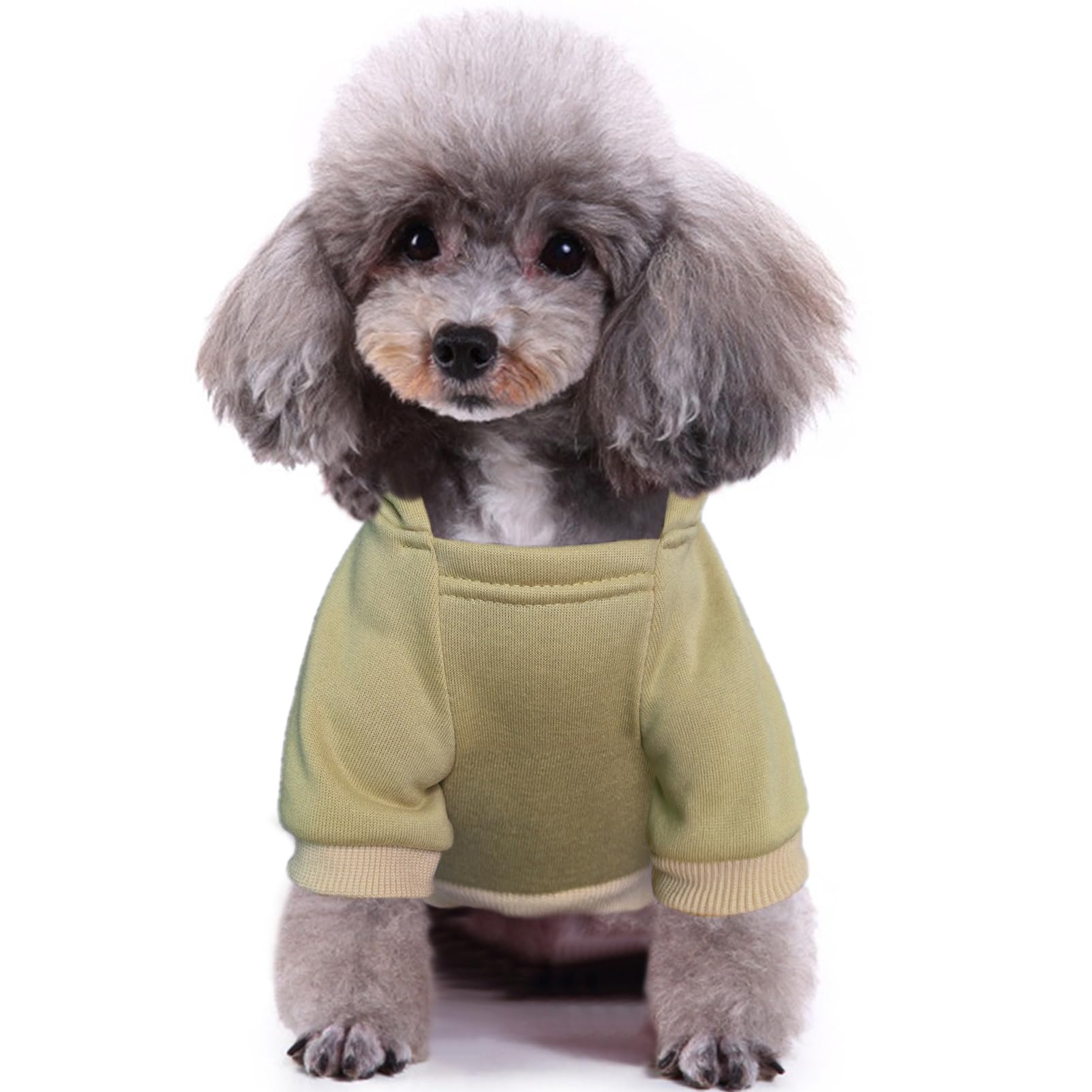 أزياء التركيز على سترات بغطاء للرأس للكلاب الشتوية الجديدة مع جيوب ملابس قطنية دافئة للكلاب للكلاب الصغيرة معطف تشيهواهوا ملابس جرو قطة (قهوة ، صغيرة)