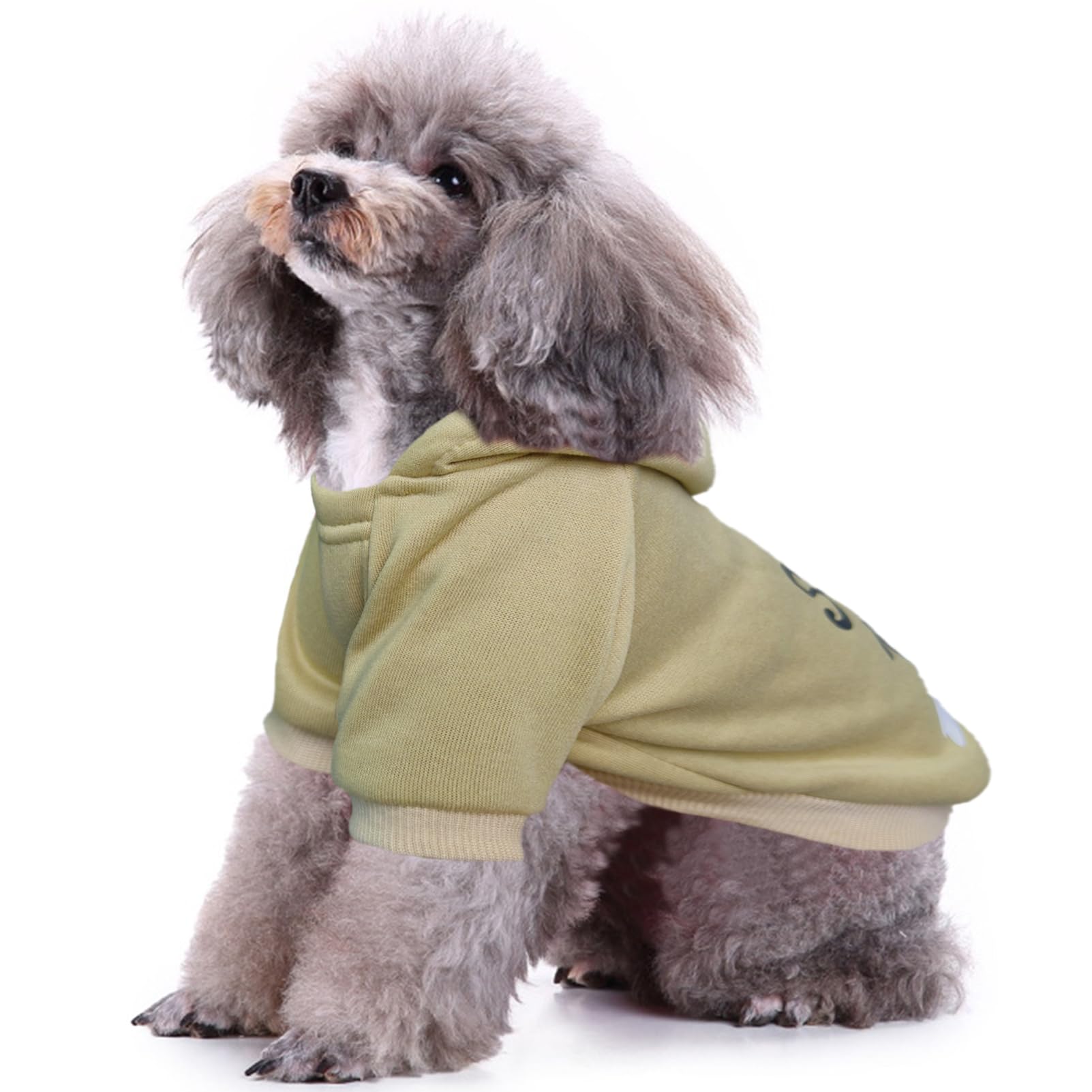 أزياء التركيز على سترات بغطاء للرأس للكلاب الشتوية الجديدة مع جيوب ملابس قطنية دافئة للكلاب للكلاب الصغيرة معطف تشيهواهوا ملابس جرو قطة (قهوة ، صغيرة)