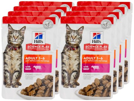 أكياس طعام رطب للقطط ساينس بلان من هيلز 85 جرامًا x 12 عبوة لحم بقري بالغ كيلوجرام هيليز