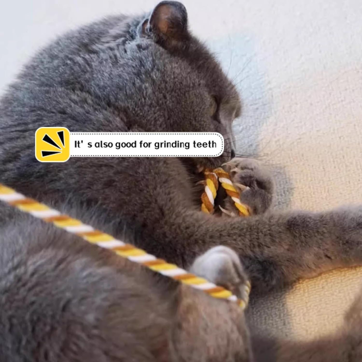 العاب عصا تفاعلية للقطط من اكس سبرينج، 3 قطع من عصي تشويق القطط الملونة مع جرس، العاب خيط حبل متينة للعب في الاماكن المغلقة، عصا ريشة تفاعلية للقطط الصغيرة والقطط البالغة