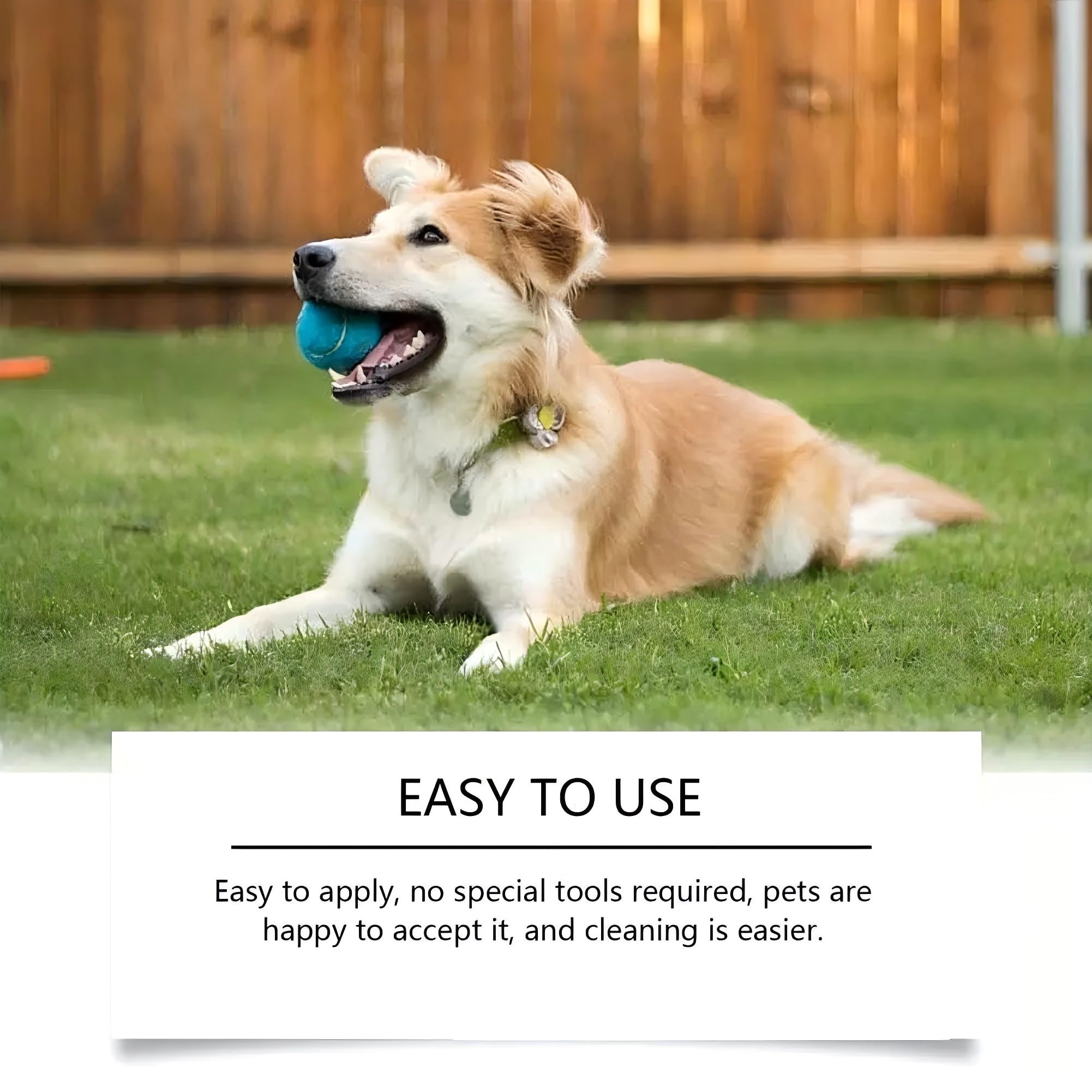 بخاخ للعناية بالفم للكلاب والحيوانات الاليفة، 3.52 اونصة مع زيوت عطرية طبيعية، معجون اسنان جل منظف للحيوانات الاليفة، للعناية بالفم امن للقطط والكلاب لازالة الجير والبقع، امن للحيوانات الاليفة