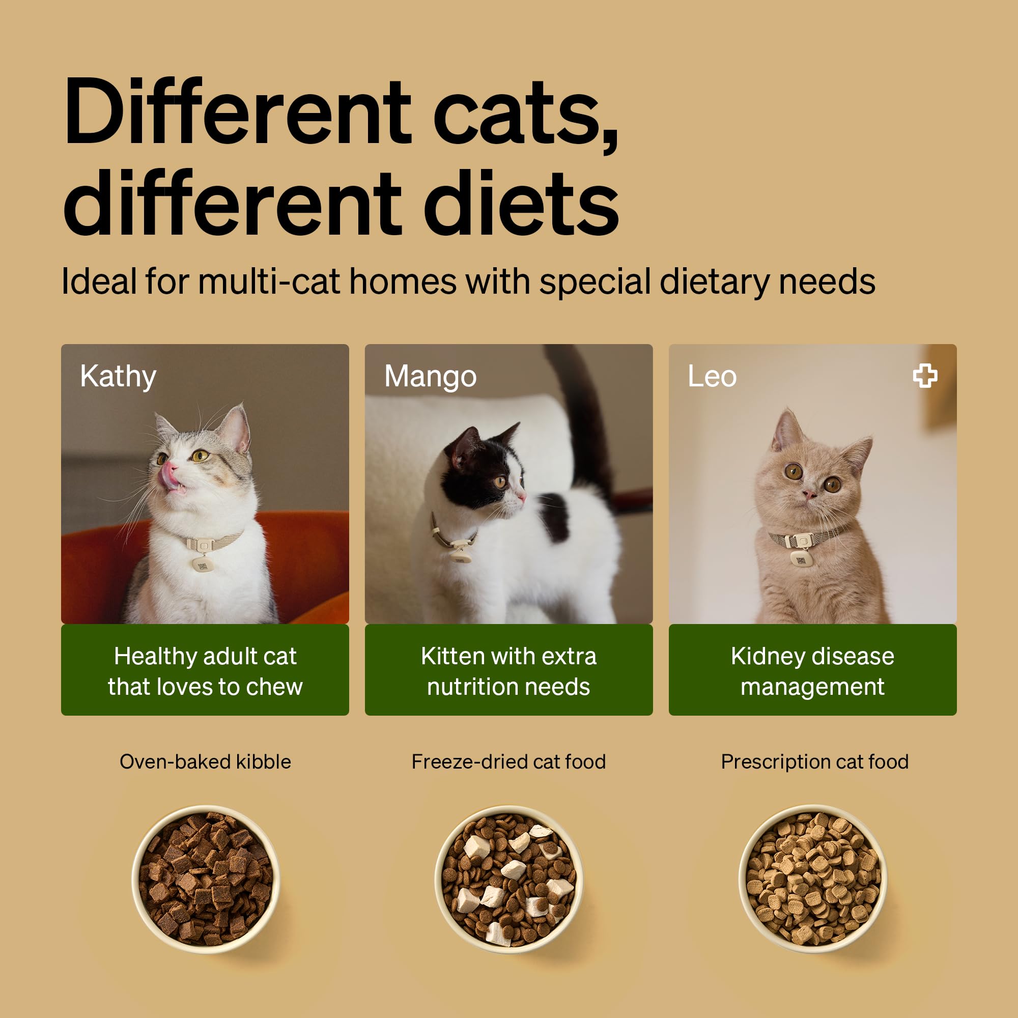 بيتليبرو جهاز تغذية القطط التلقائي بتقنية تحديد الهوية بموجات الراديو لقطتين، مستشعر طوق للوجبات الشخصية، التعرف على القطط لوقف سرقة الطعام، تتبع النظام الغذائي لمنازل الحيوانات الاليفة المتعددة