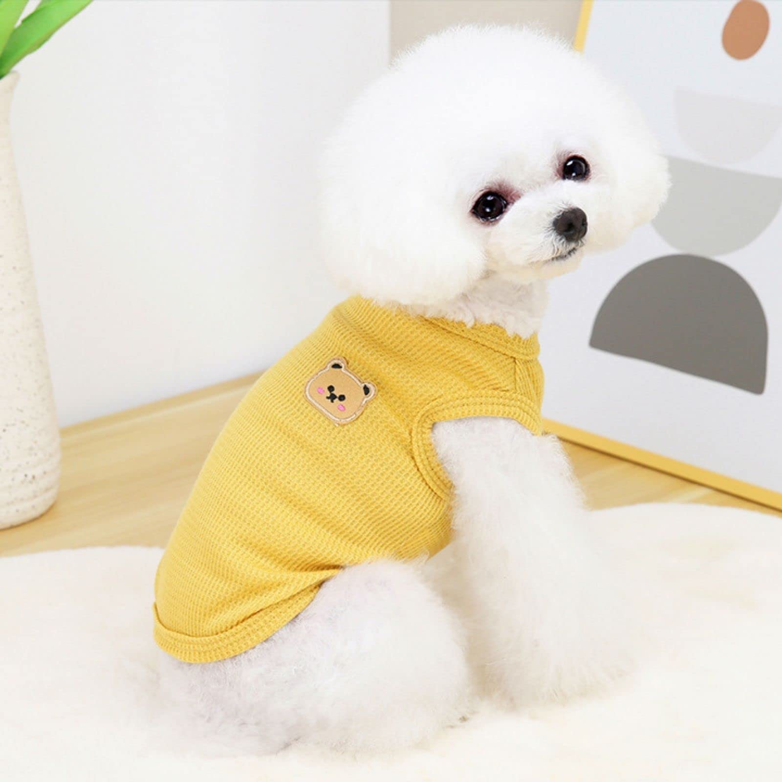 تي شيرت صيفي خفيف الوزن من القطن للحيوانات الأليفة من بيكوياي، تي شيرت ناعم وجيد التهوية وقابل للتمدد للقطط والكلاب، سترة بدون أكمام لملابس الكلاب المتوسطة والصغيرة