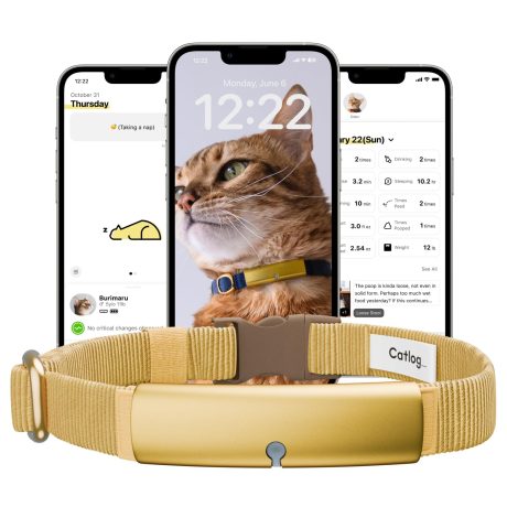 جهاز تتبع صحة القطط من كاتلوغ - طوق ذكي للقطط مع مشبك امان قابل للفصل للقطط الداخلية، تنبيهات صحية، مراقبة فورية (اصفر، M)